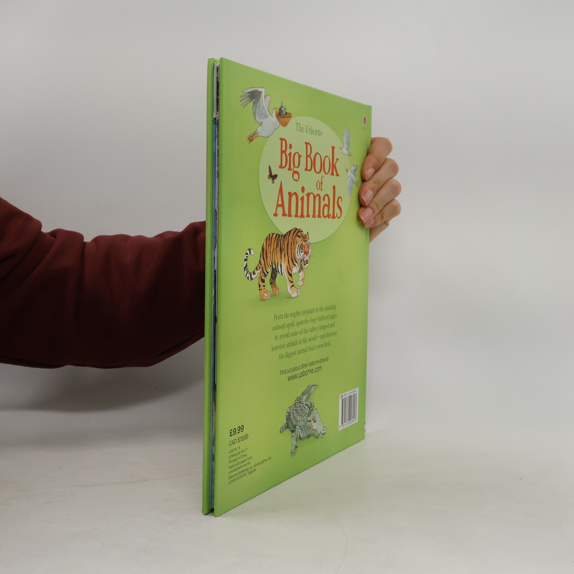 Autorenkollektiv Big Book of Big Animals