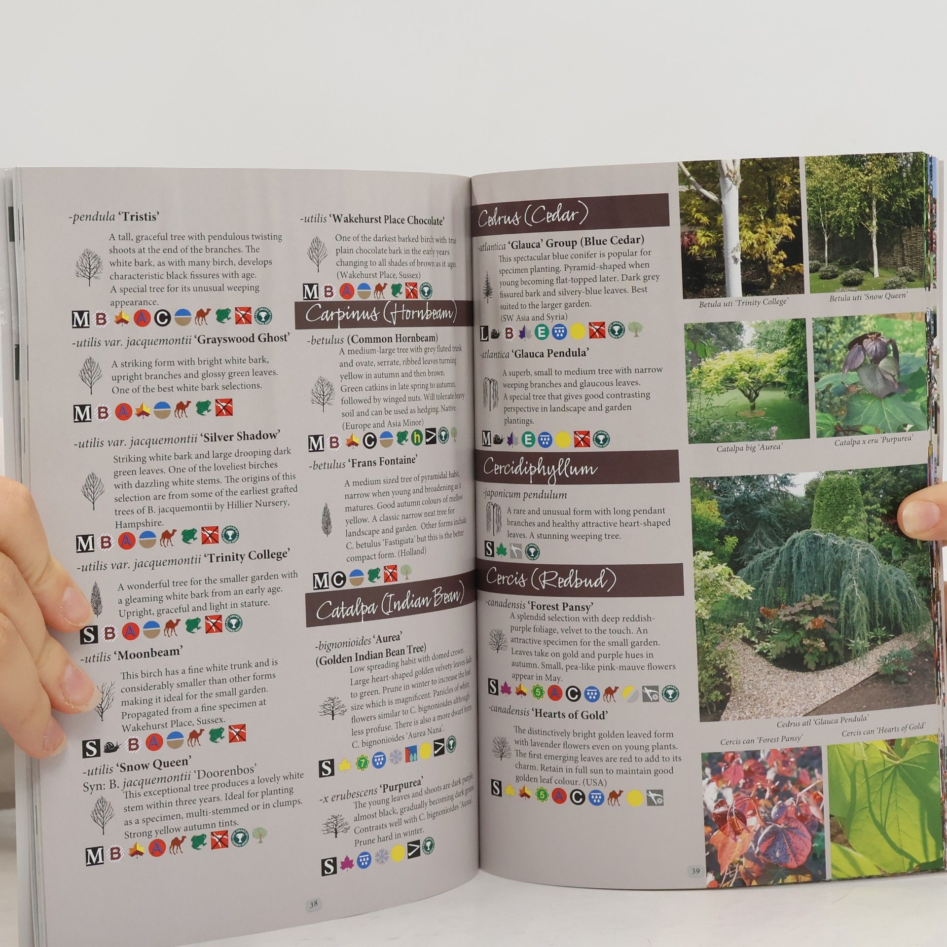 Nick Dunn Fruit and Ornamental Tree Guide