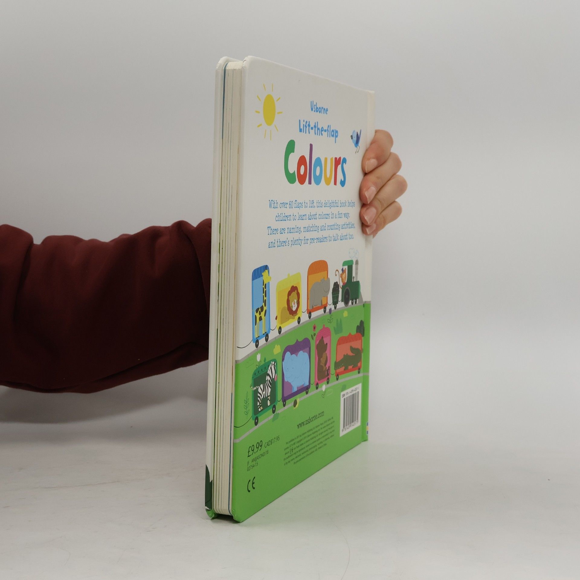 Felicity Brooks Usborne Lift-the-flap Colours