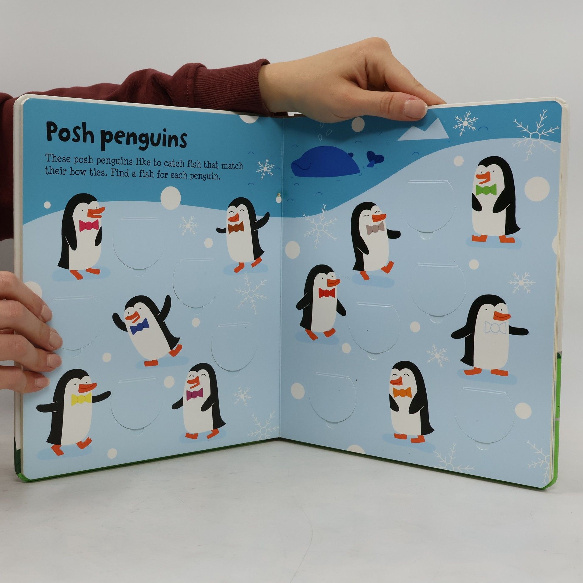 Felicity Brooks Usborne Lift-the-flap Colours