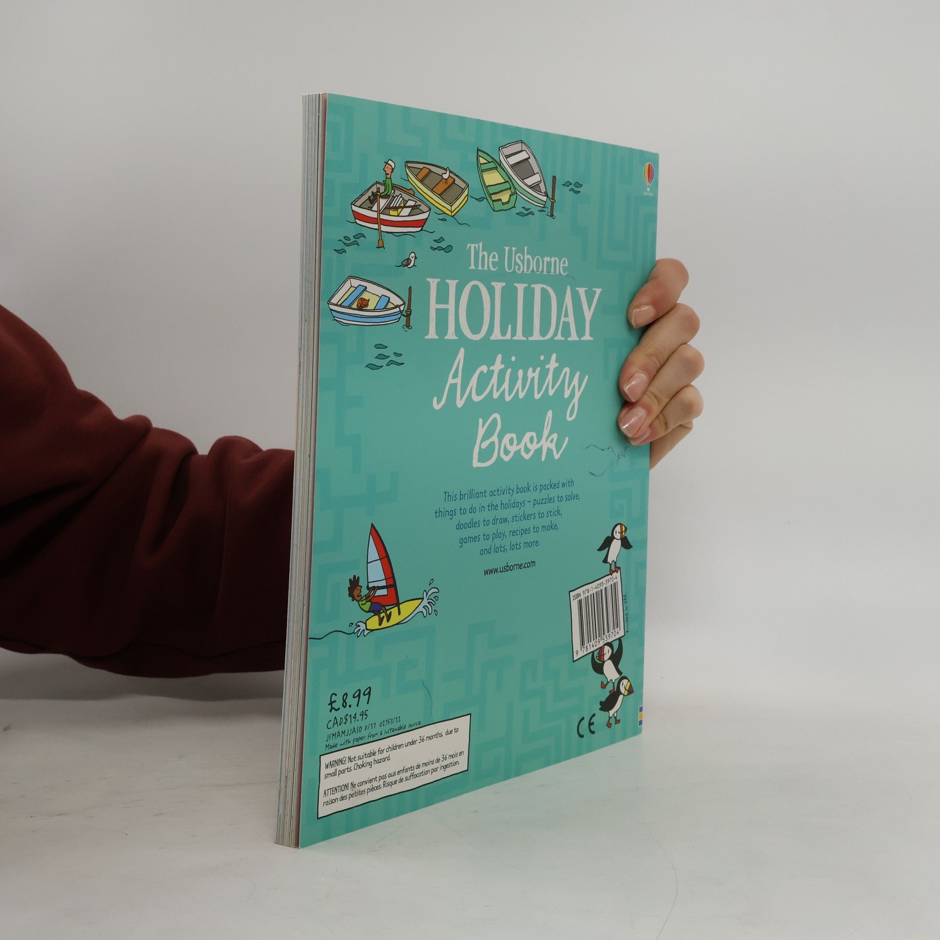 Rebecca Gilpin The Usborne holiday activity book.