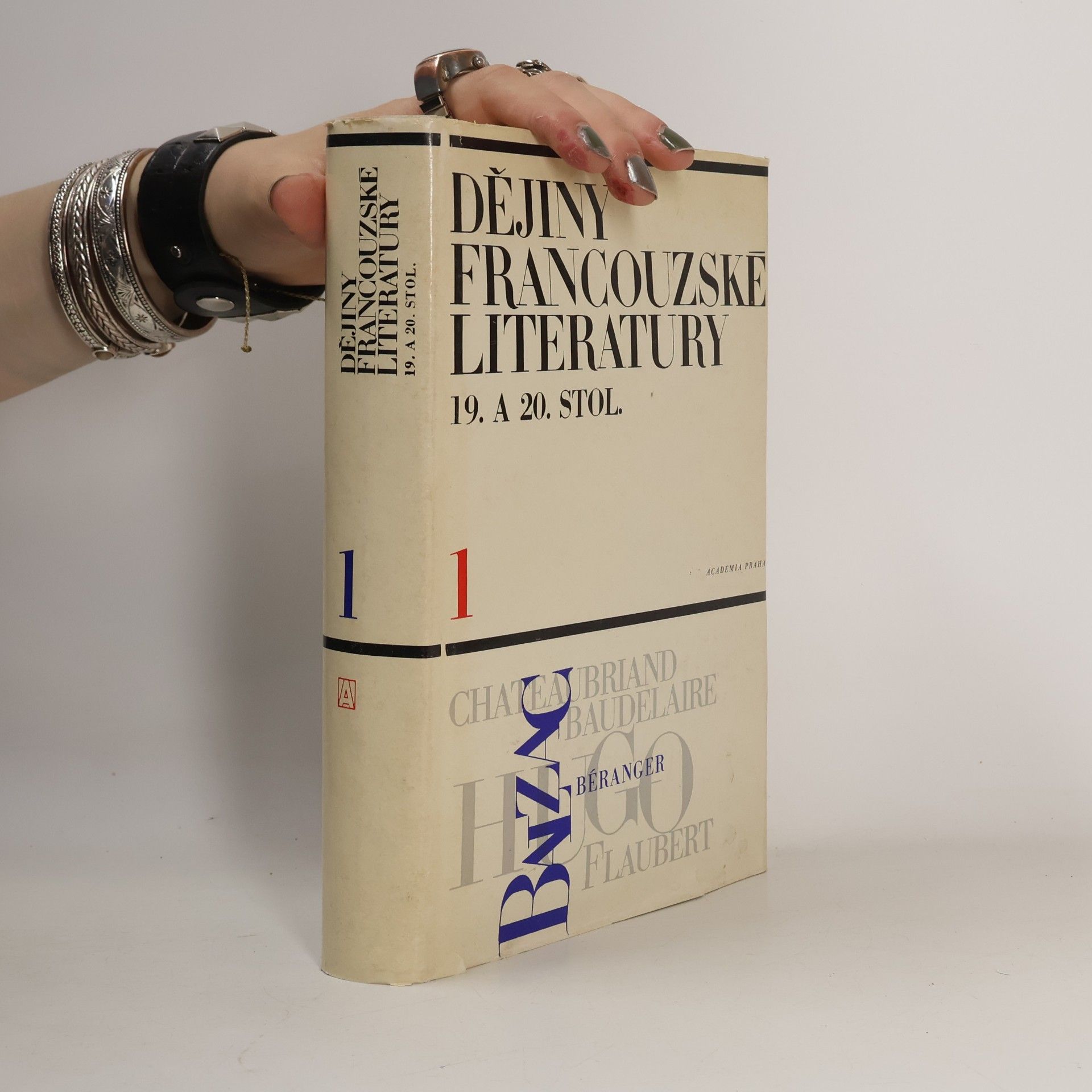 Kolektív autorov Dějiny francouzské literatury 19. a 20. stol. 1