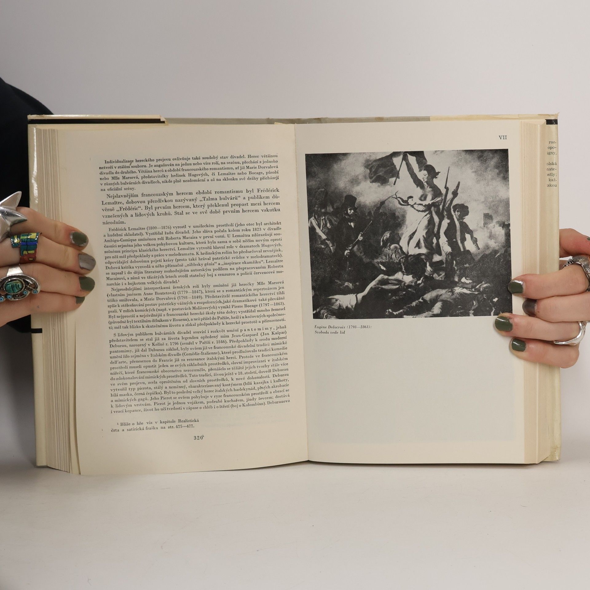 Kolektív autorov Dějiny francouzské literatury 19. a 20. stol. 1