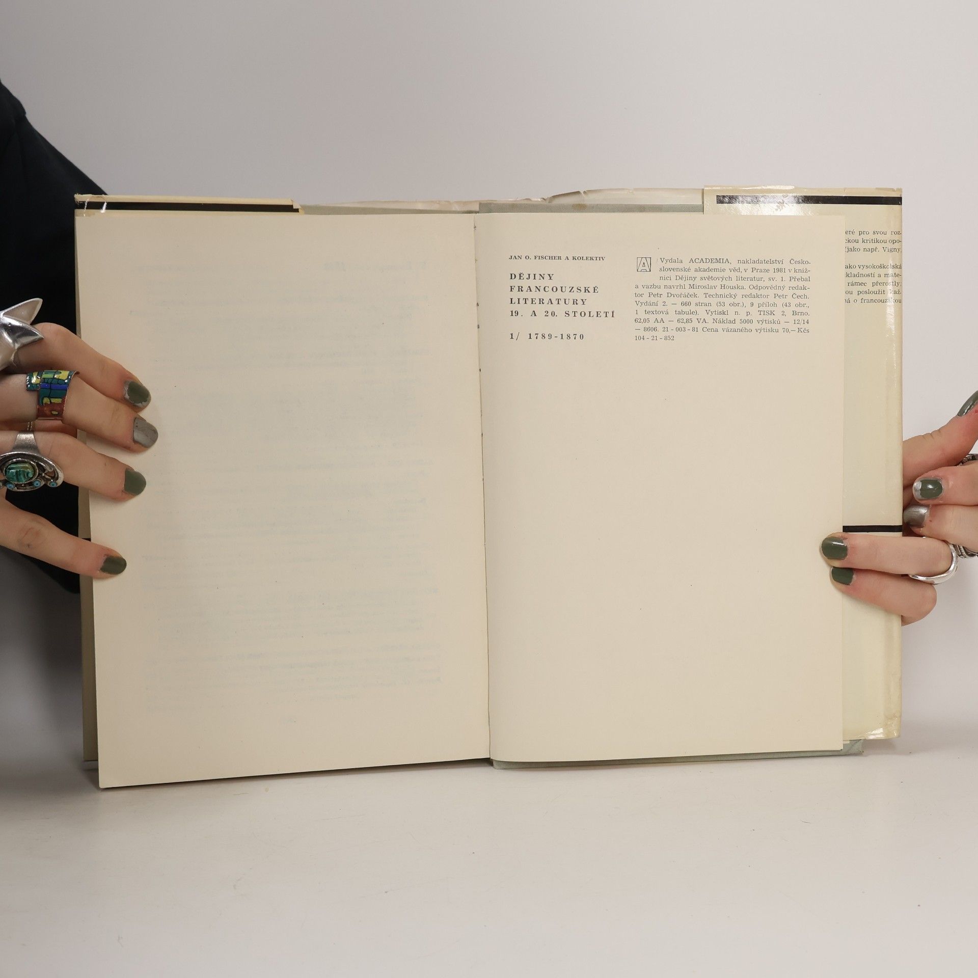 Kolektív autorov Dějiny francouzské literatury 19. a 20. stol. 1