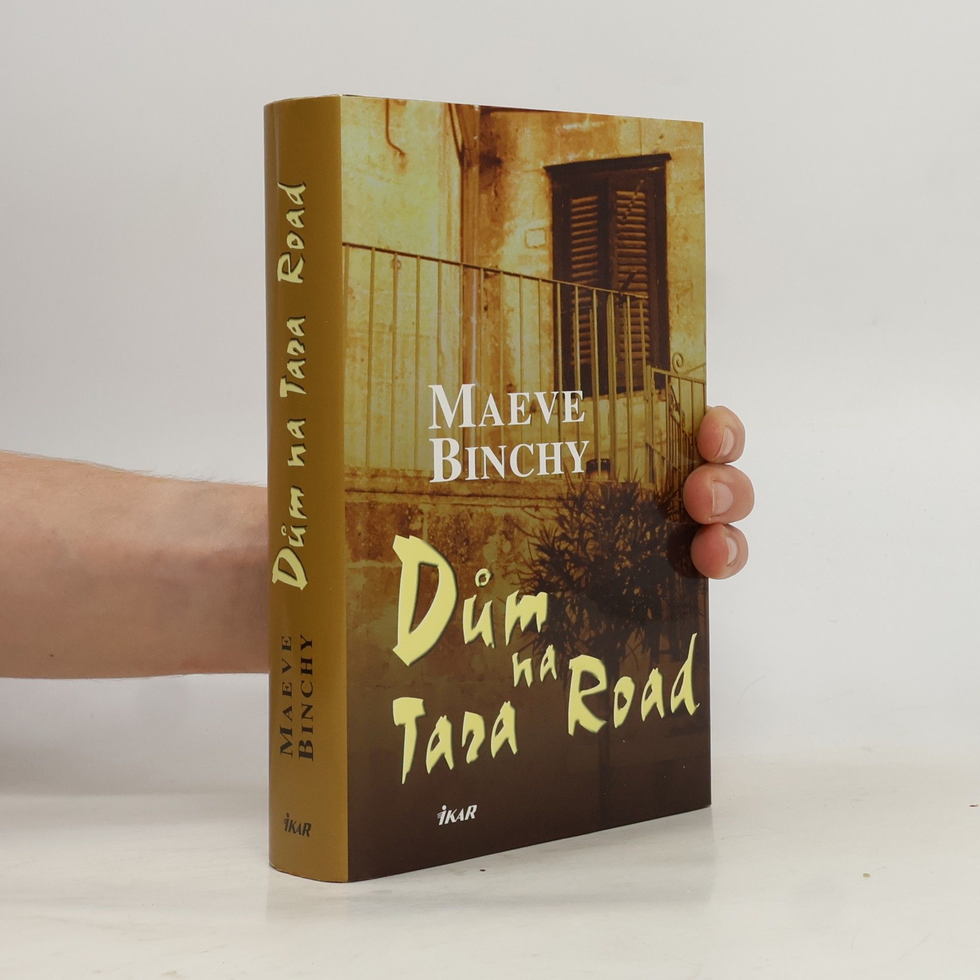 Maeve Binchy Dům na Tara Road