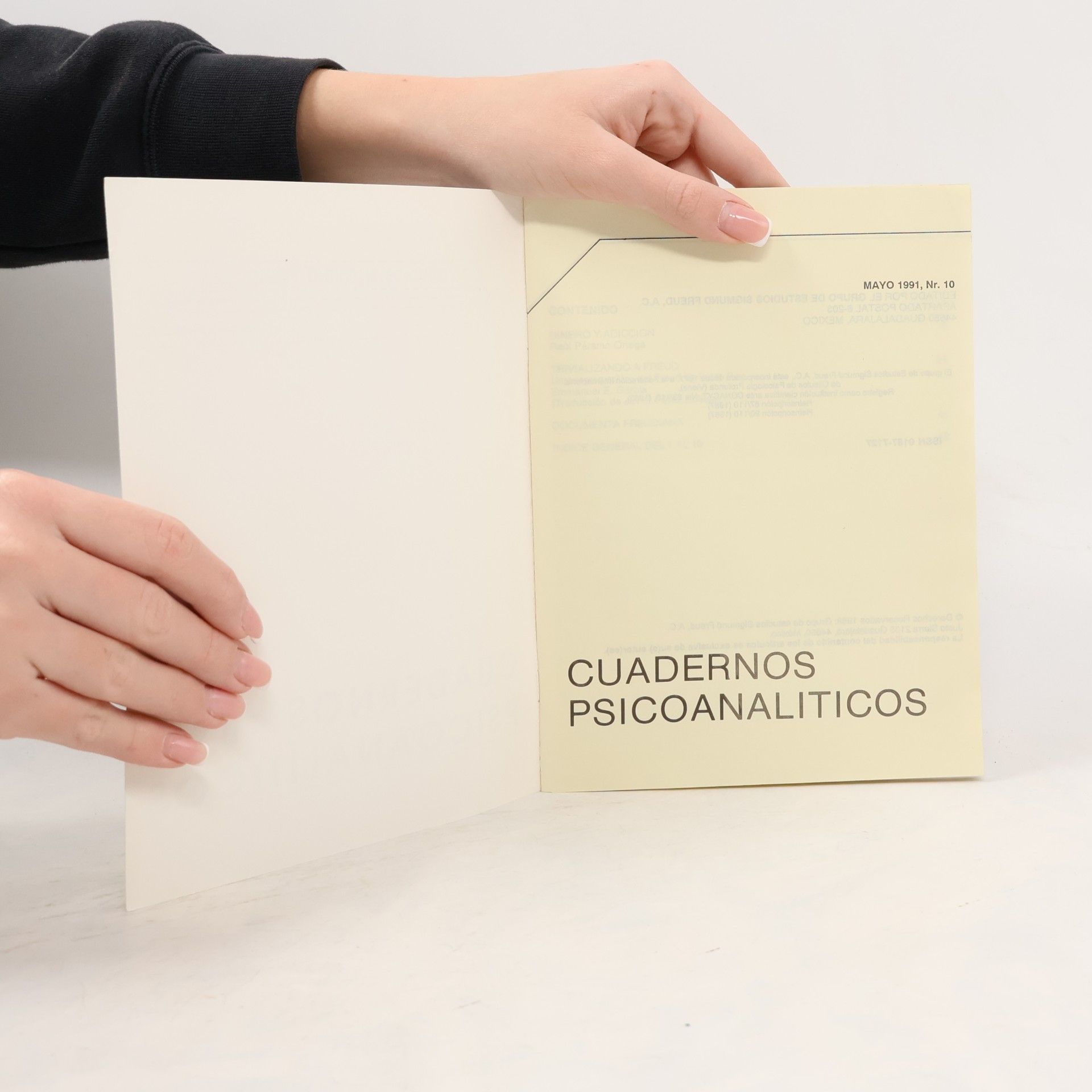 Auteurscollectief Cuadernos Psicoanalíticos 10