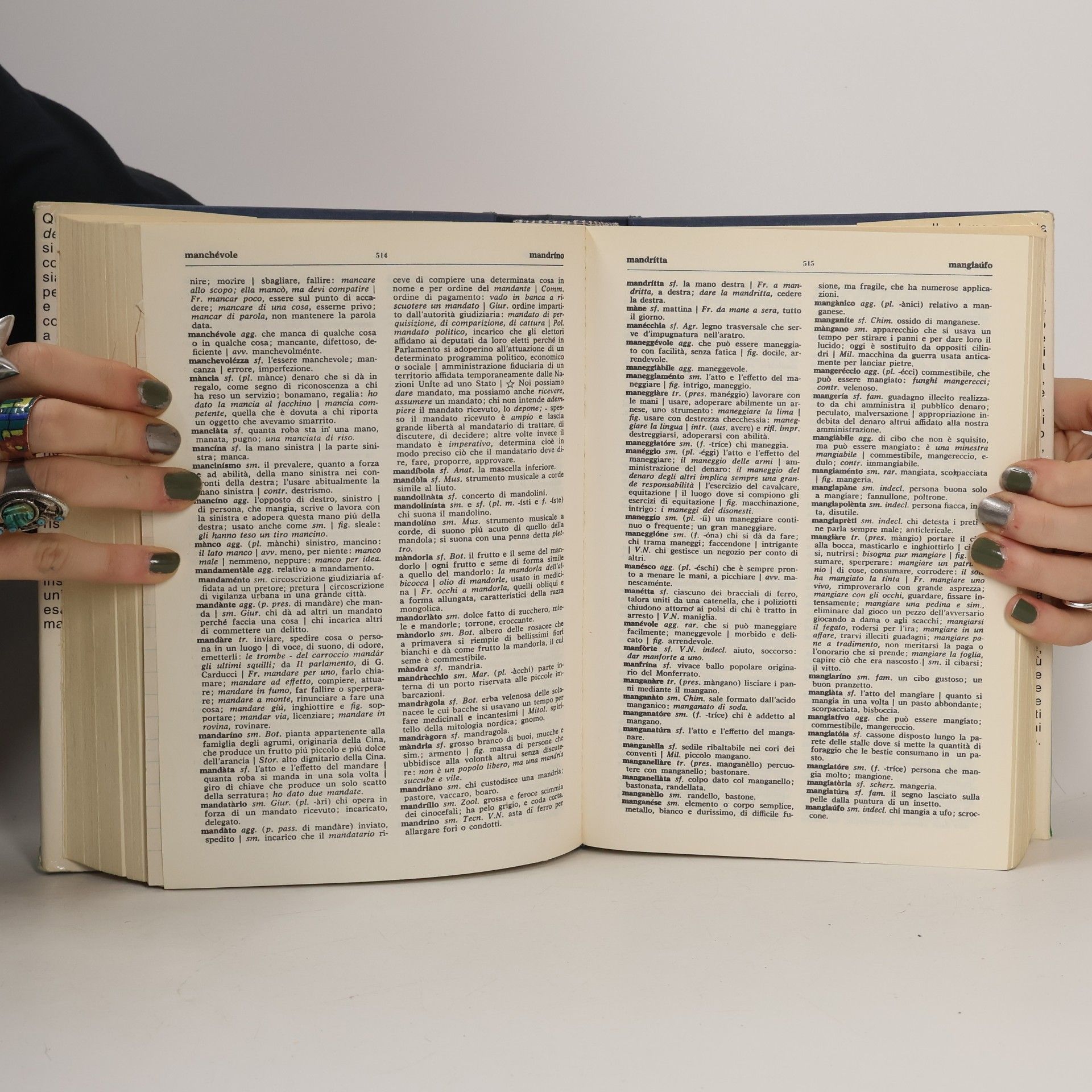 M. G. Bacci Dizionario della lingua italiana