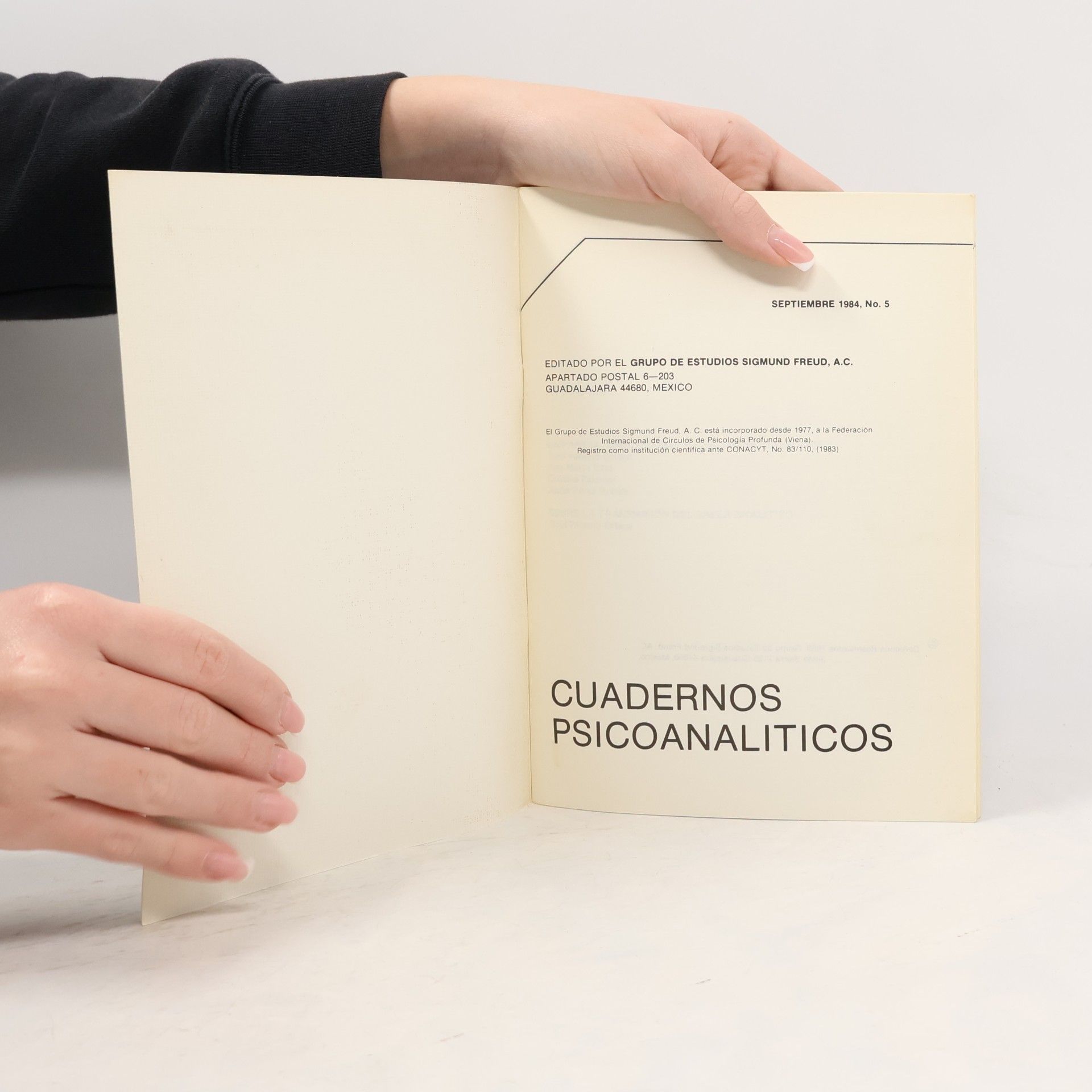 Auteurscollectief Cuadernos psicoanaliticos 5