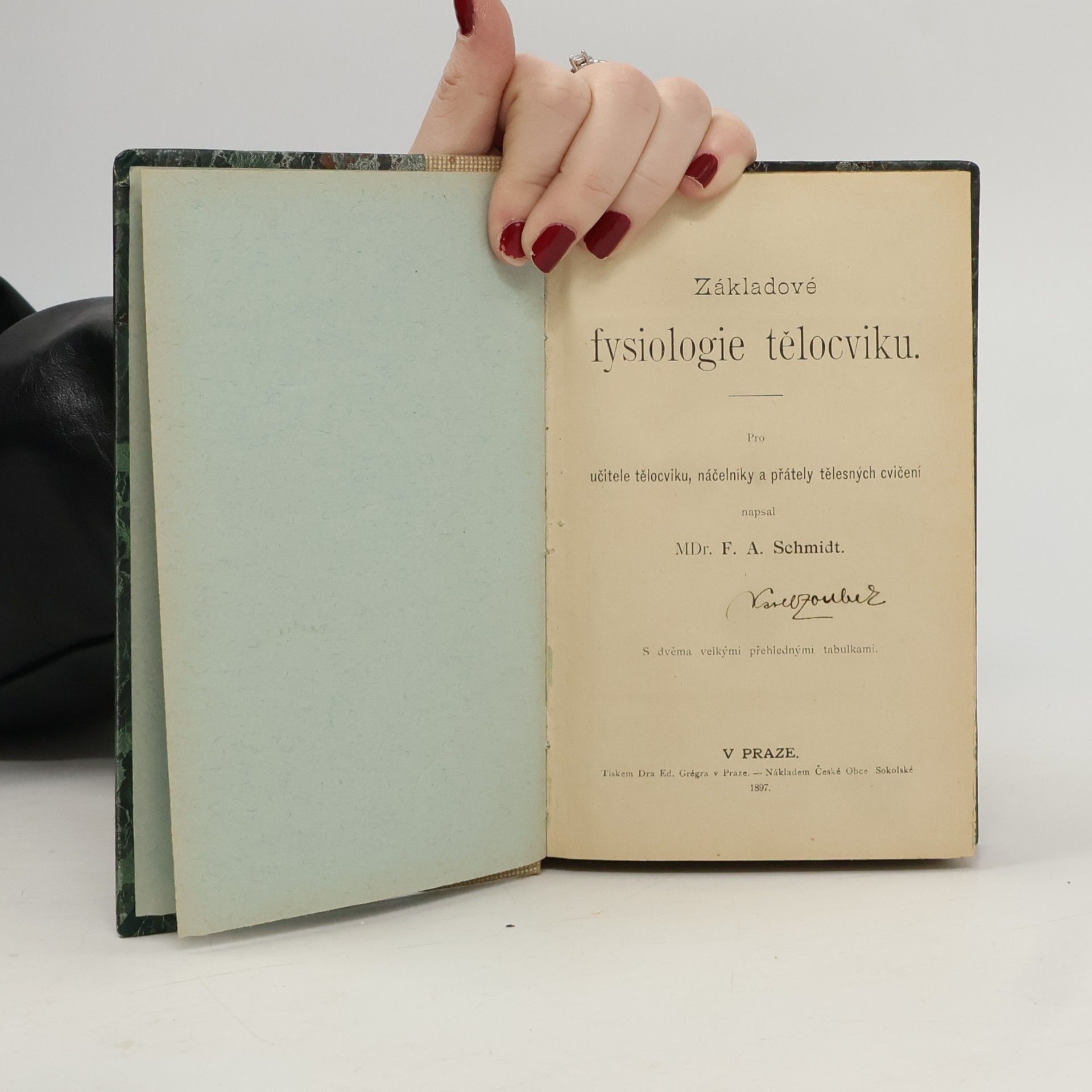 F. A. Schmidt Základové fisiologie tělocviku