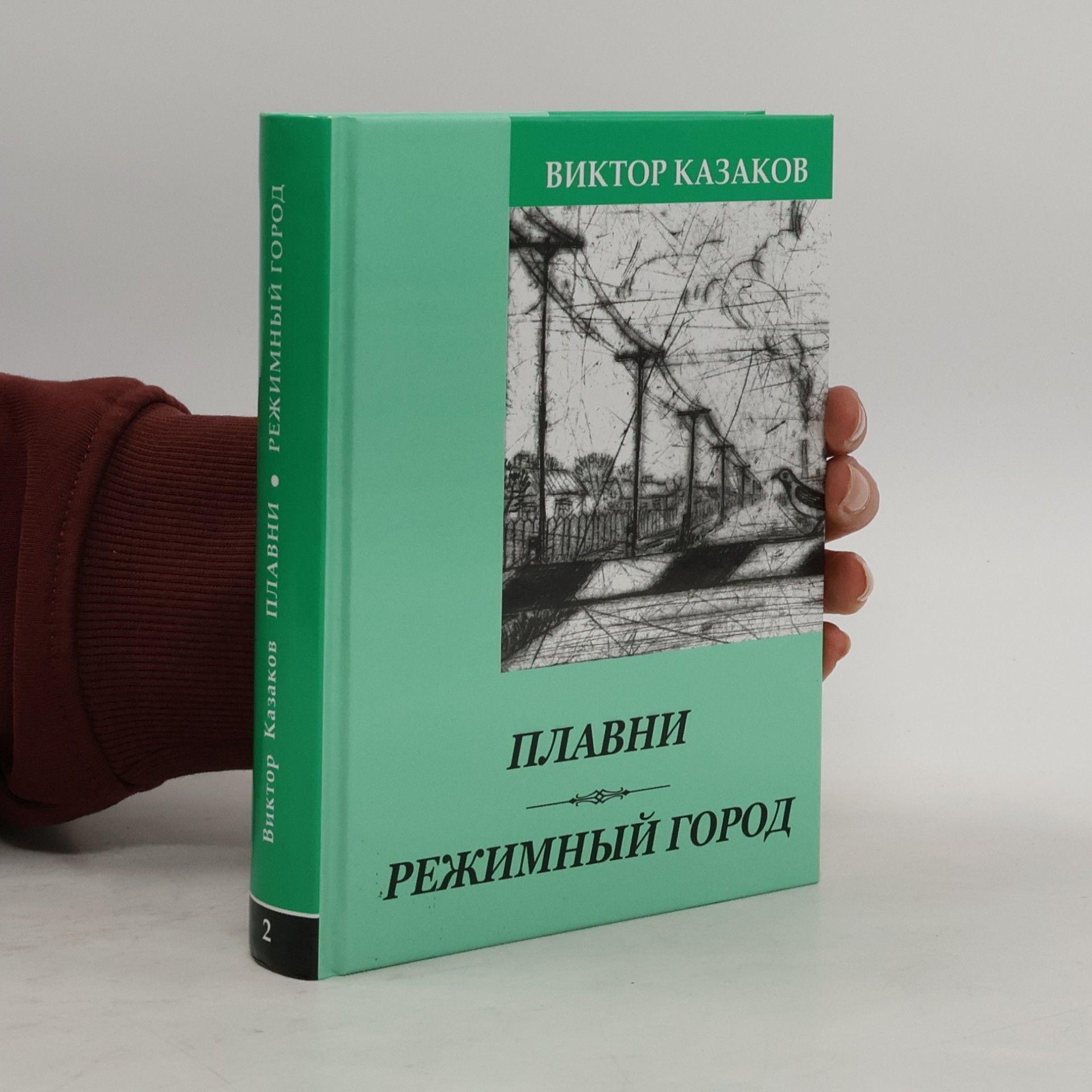 Плавни. Режимный город 2