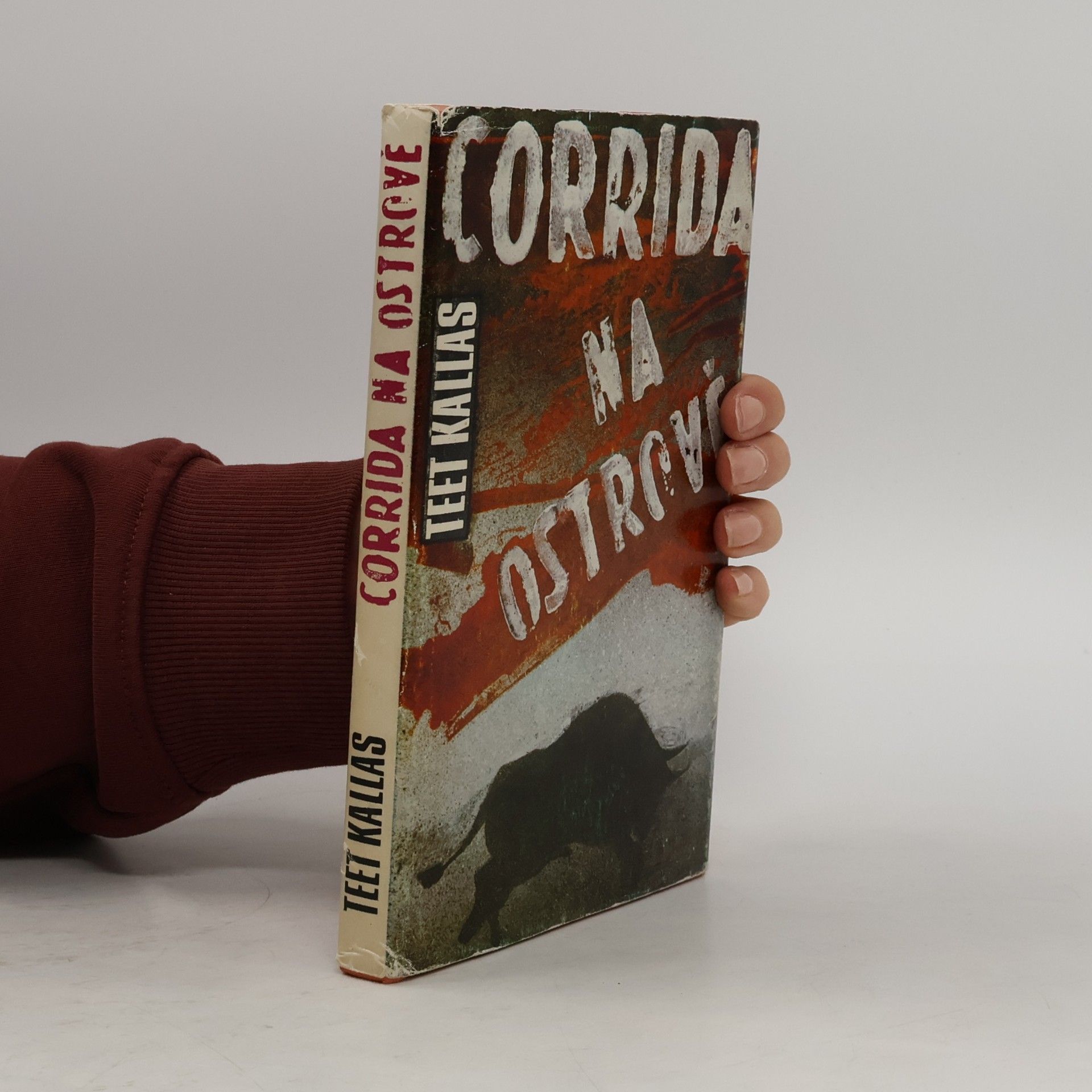 Corrida na ostrově