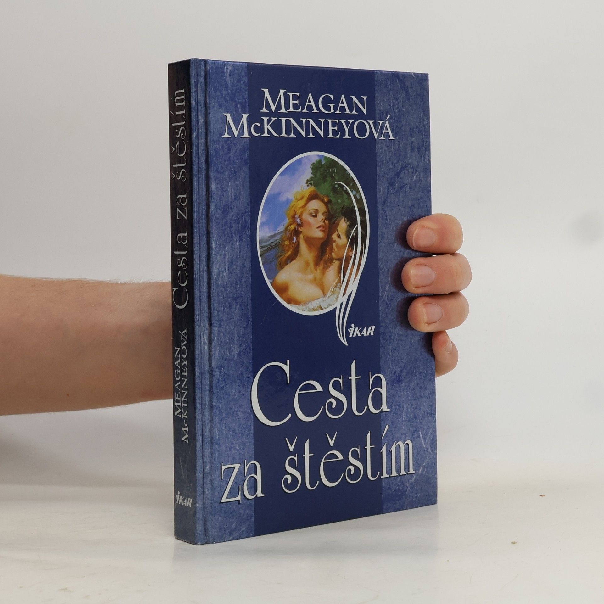 Meagan McKinney Cesta za štěstím