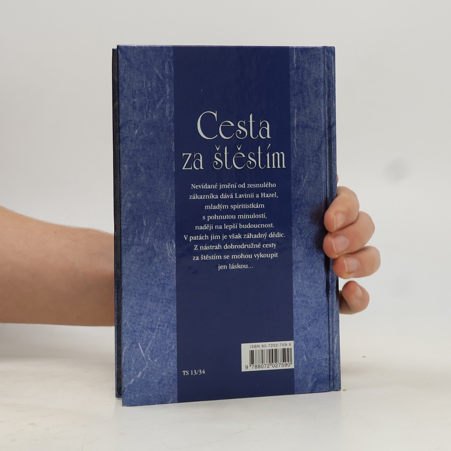 Meagan McKinney Cesta za štěstím