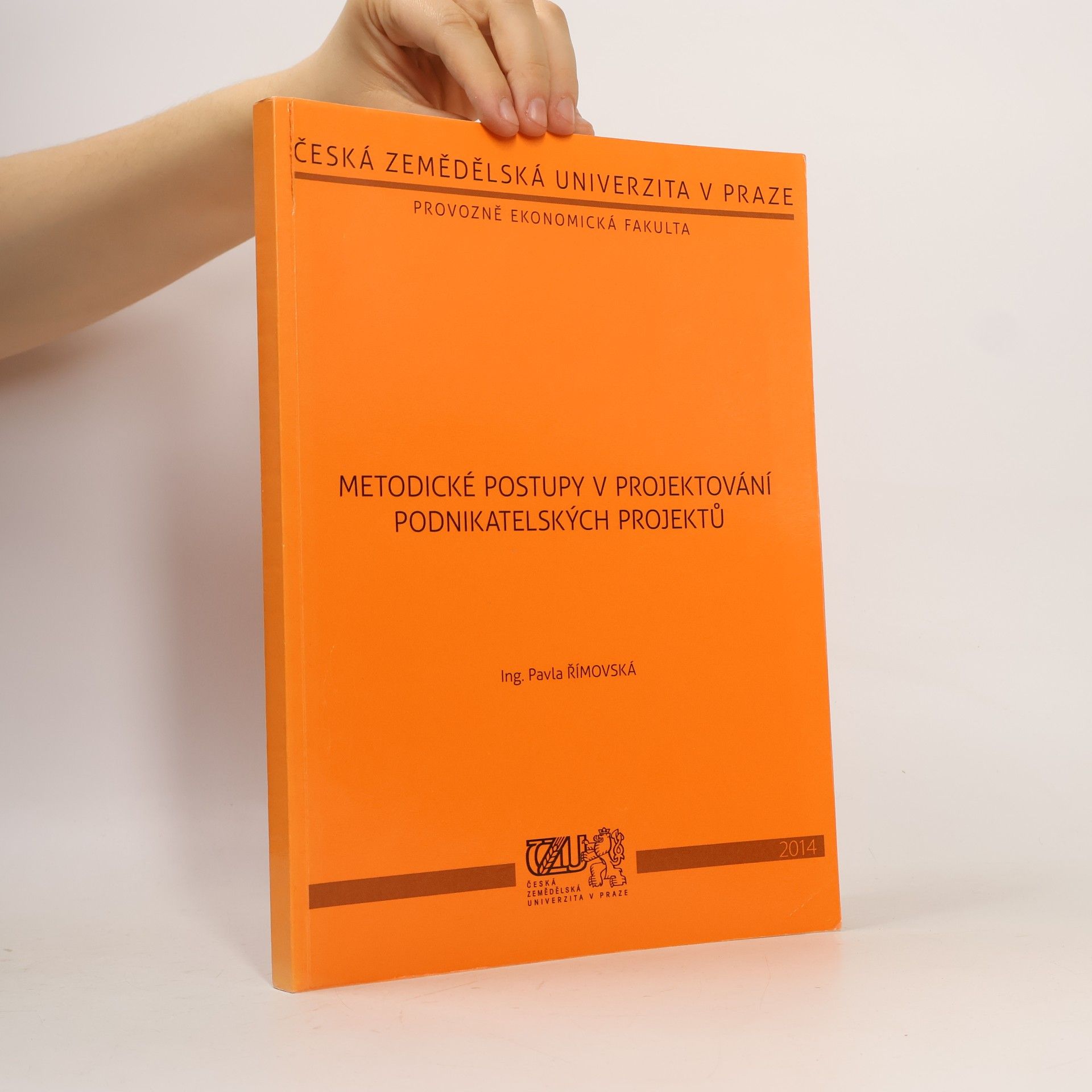 Metodické postupy v projektování podnikatelských projektů