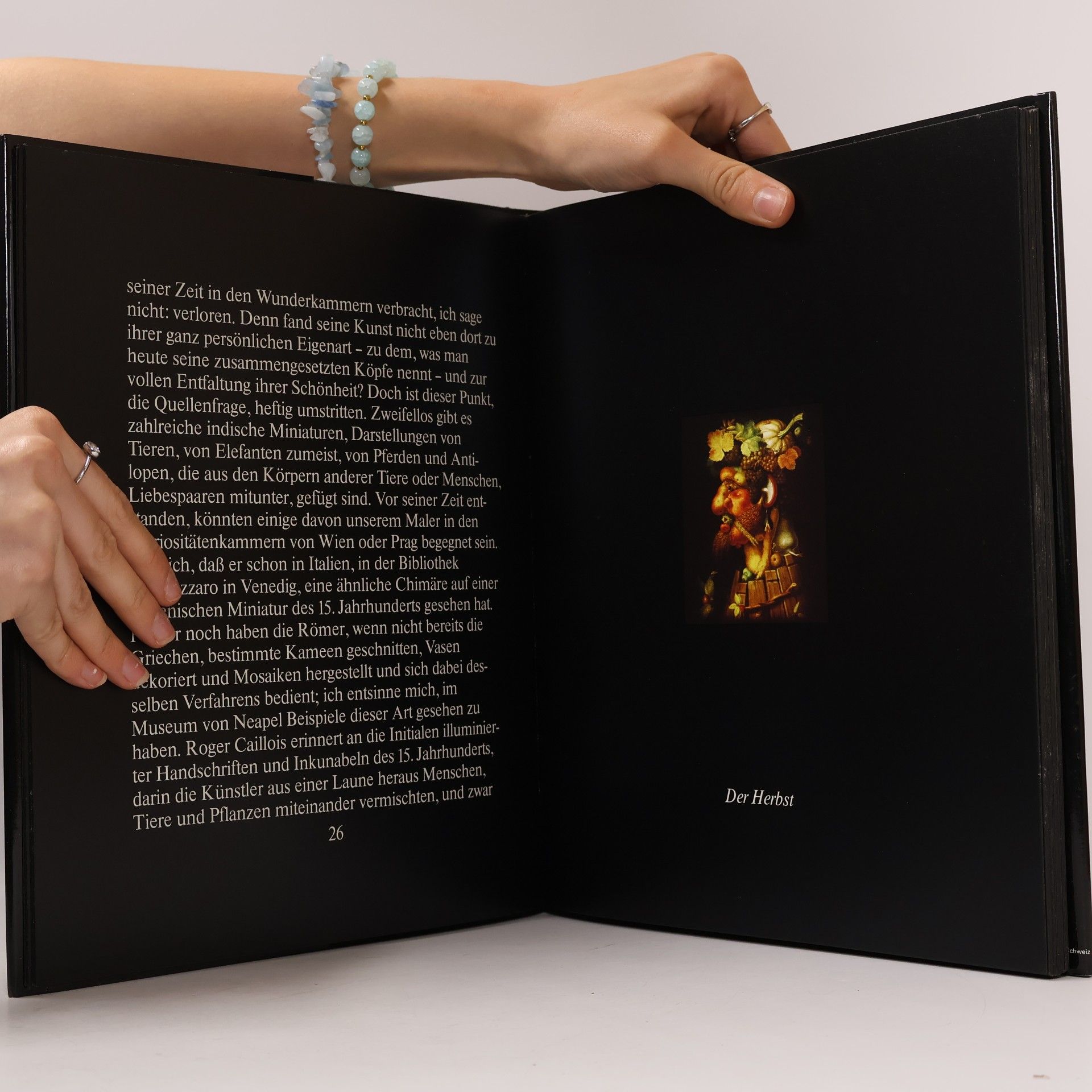 André Pieyre de Mandiargues Das Wunder Arcimboldo