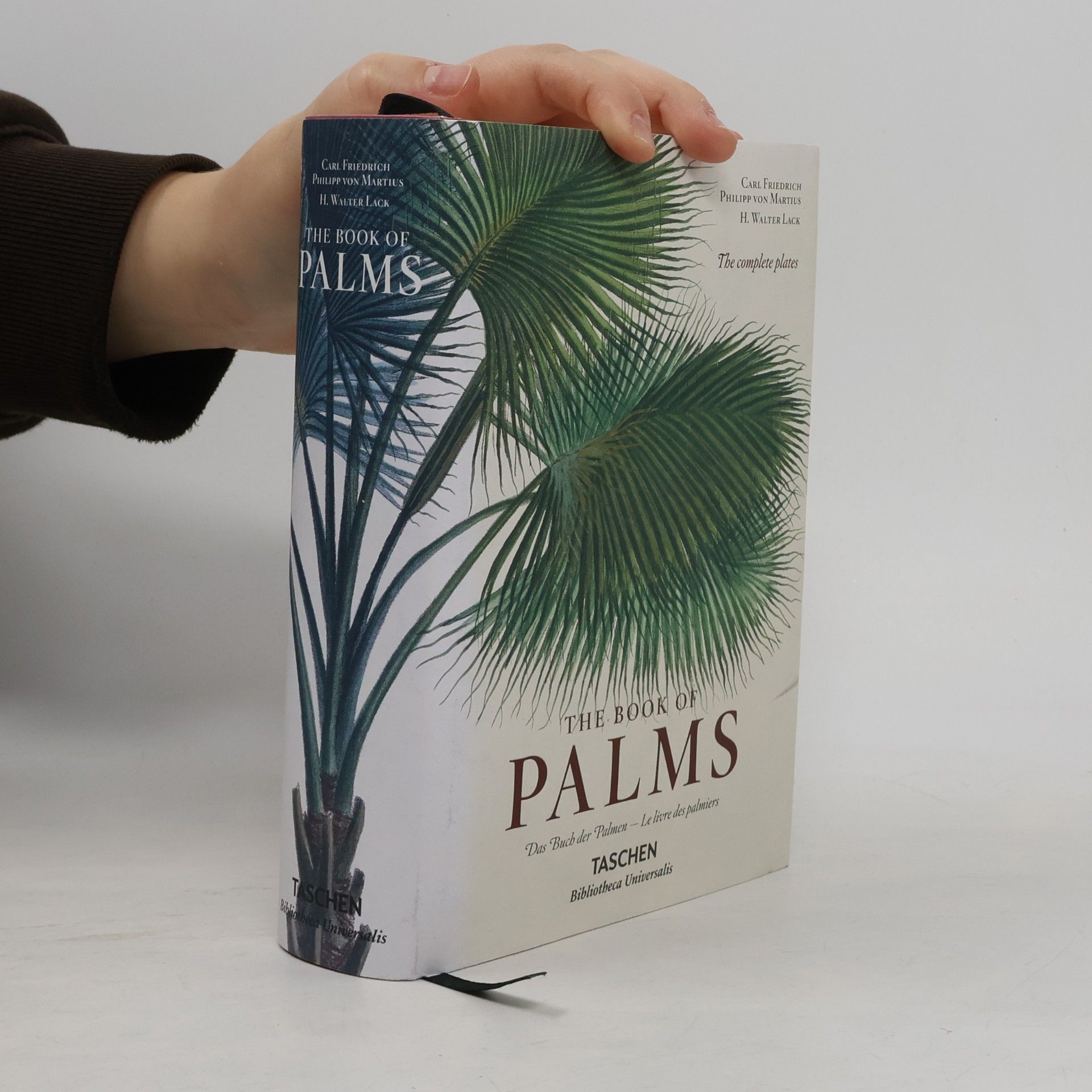 Various authors The book of palms - Das Buch der Palmen - Le livre des palmiers