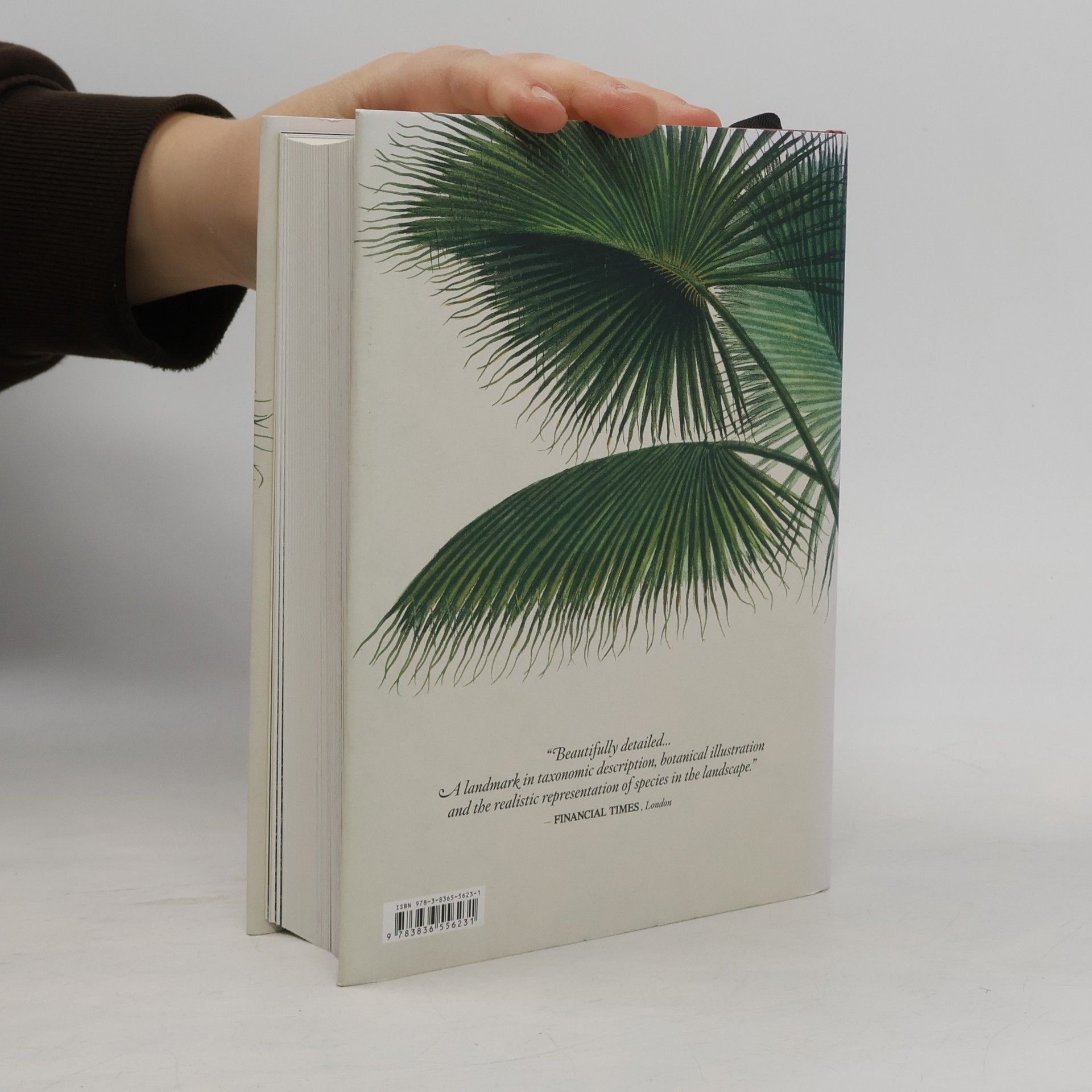 Various authors The book of palms - Das Buch der Palmen - Le livre des palmiers