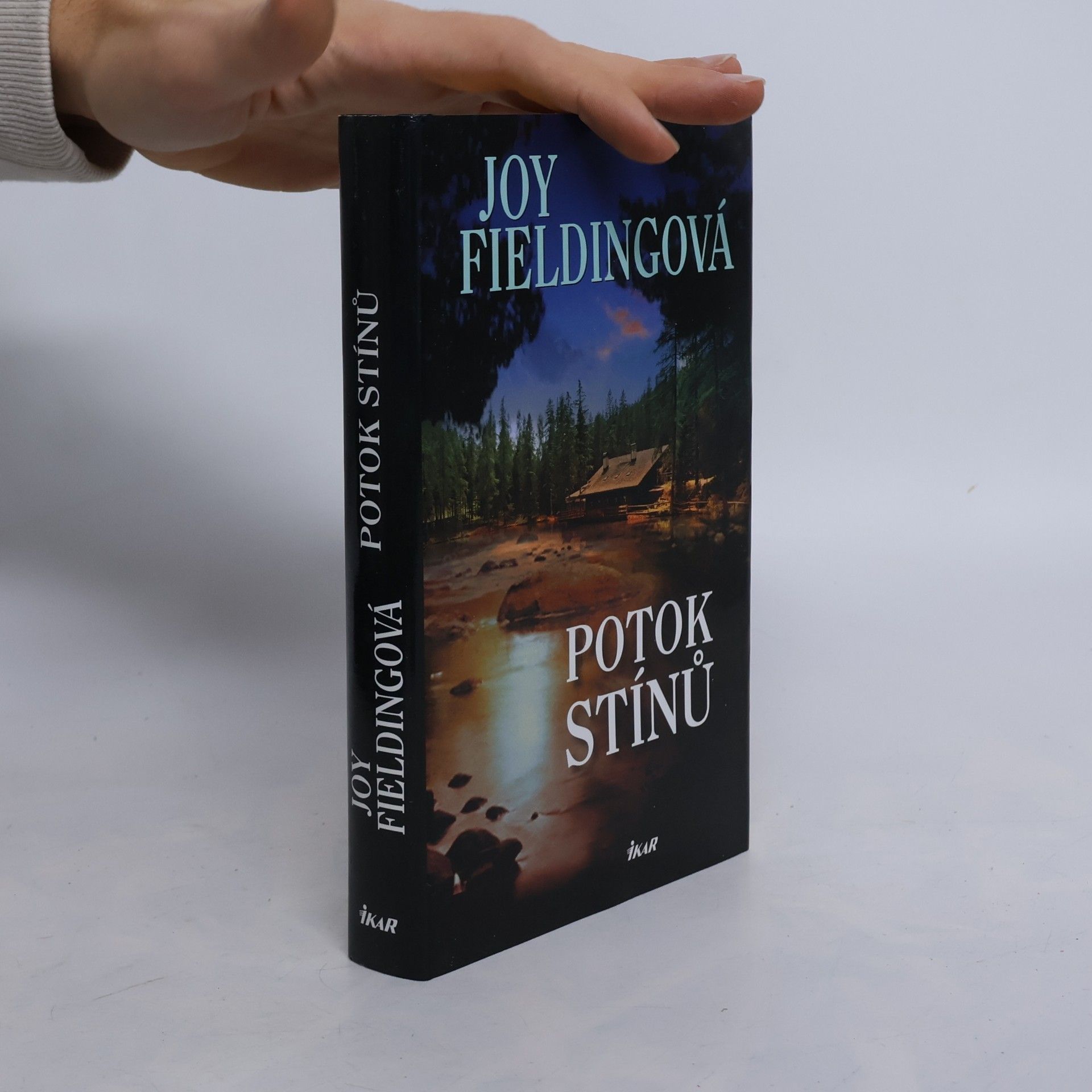 Joy Fielding Potok stínů