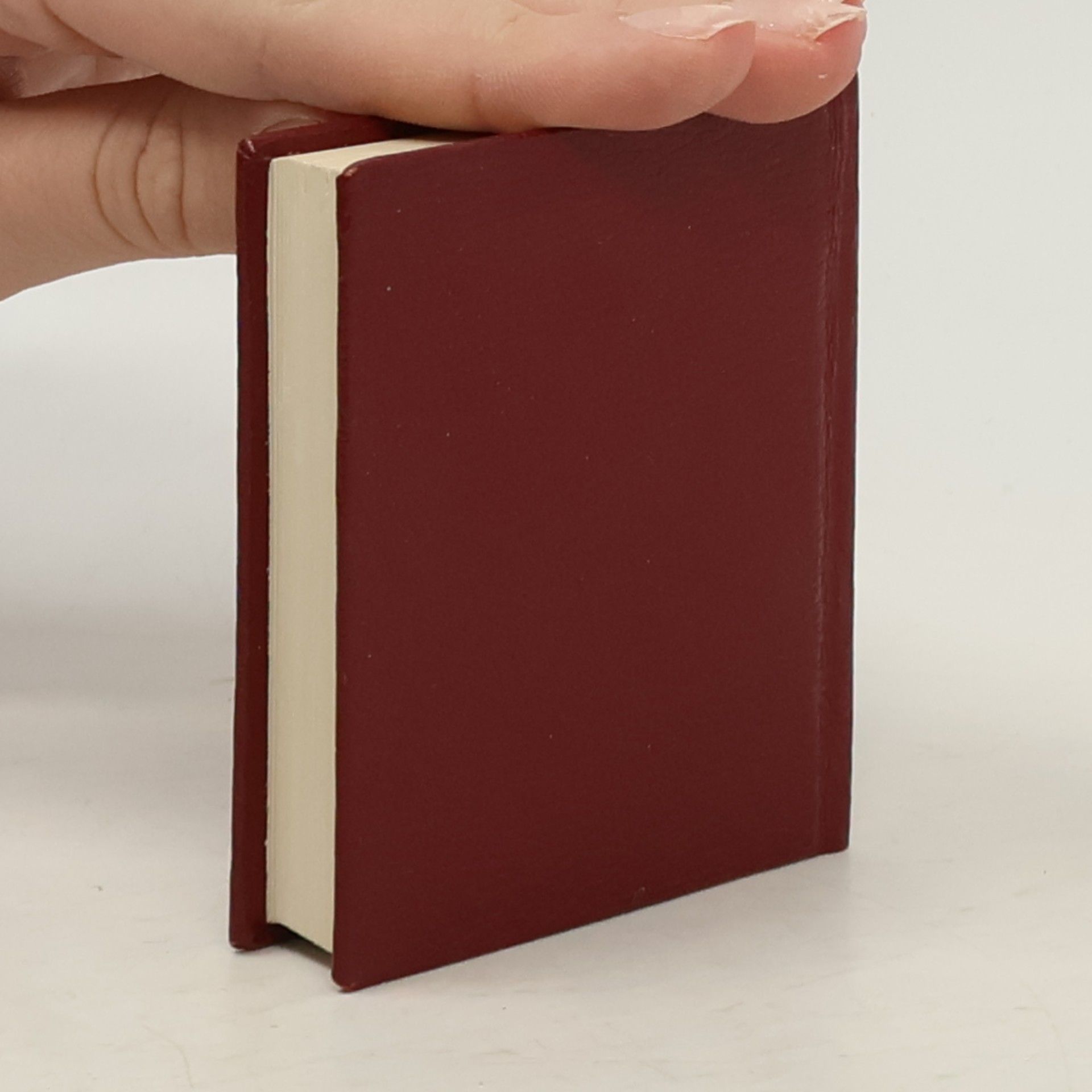 Collectif d'auteurs Petit Dictionnaire Francais-Tchéque & Česko-francouzský slovníček