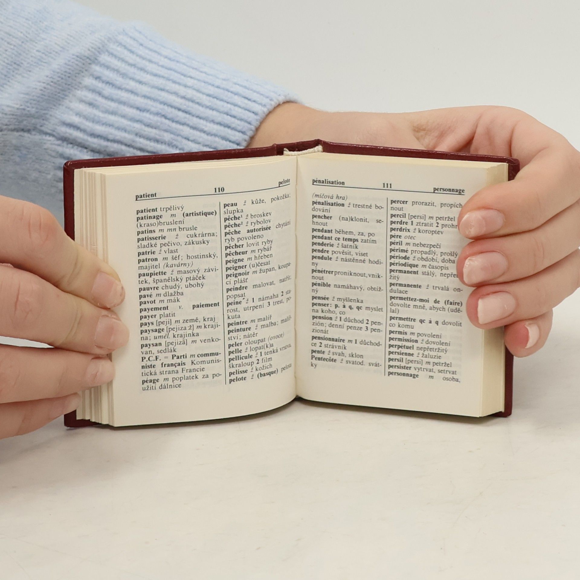 Collectif d'auteurs Petit Dictionnaire Francais-Tchéque & Česko-francouzský slovníček