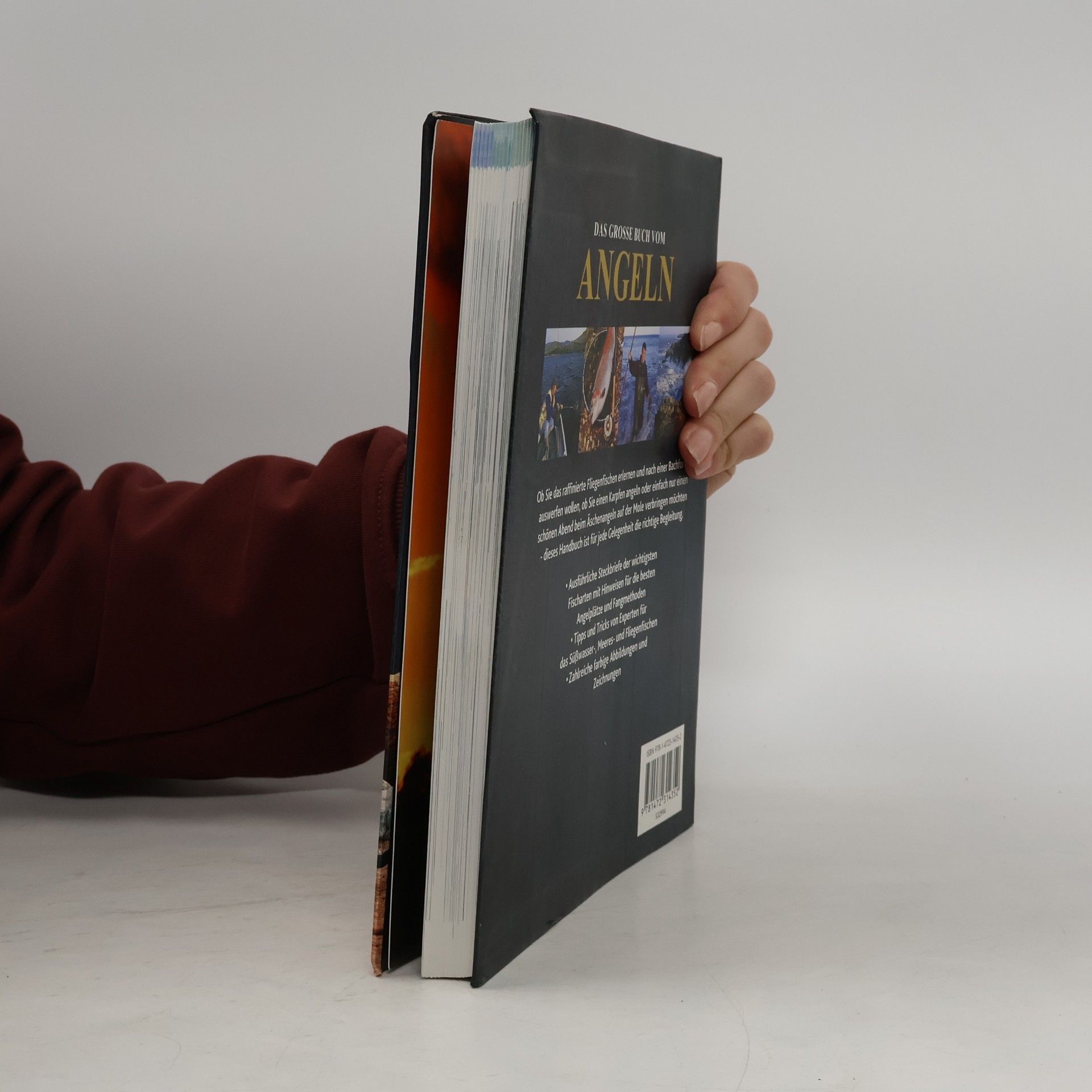 Kolektív autorov Das große Buch vom Angeln