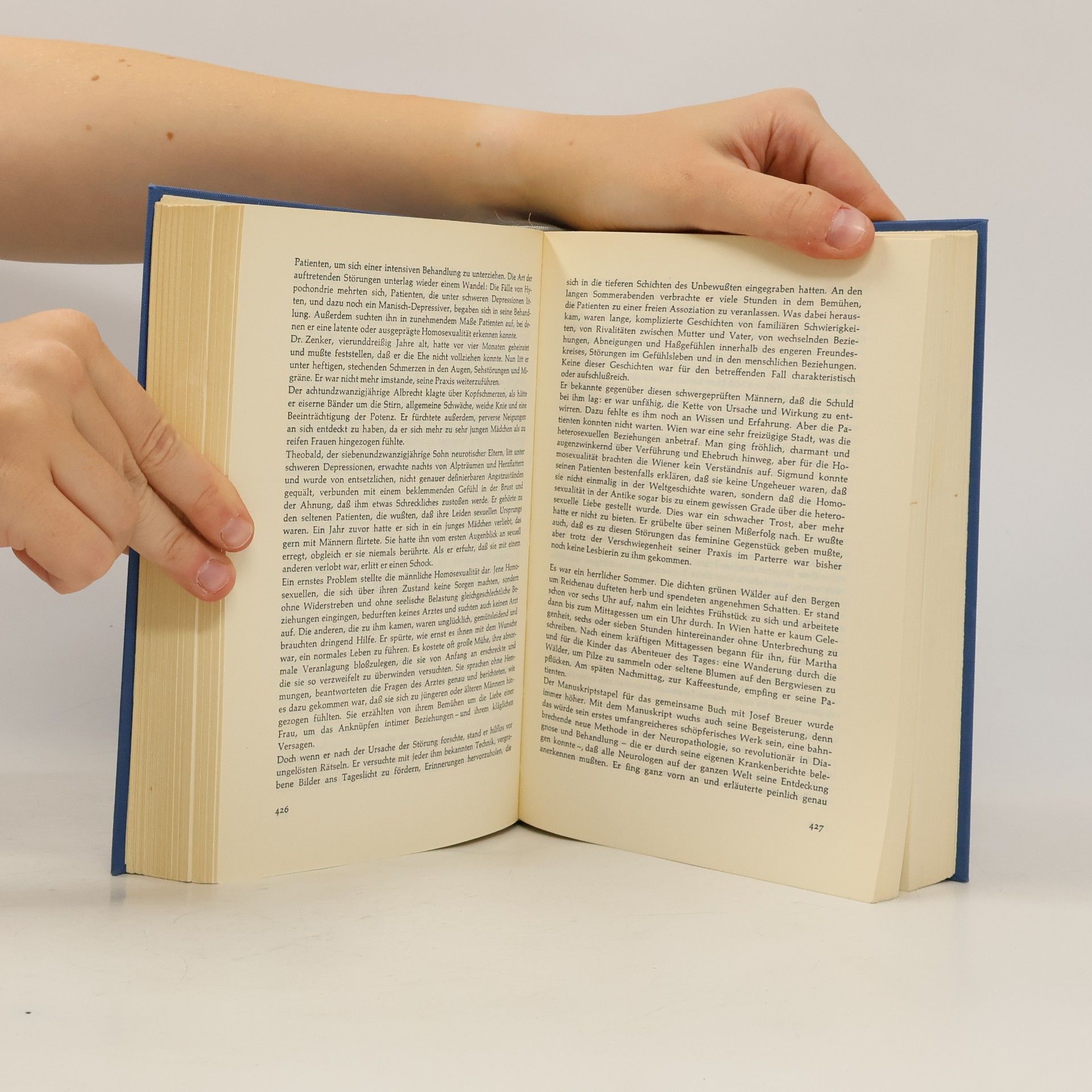 Irving Stone Der Seele dunkle Pfade