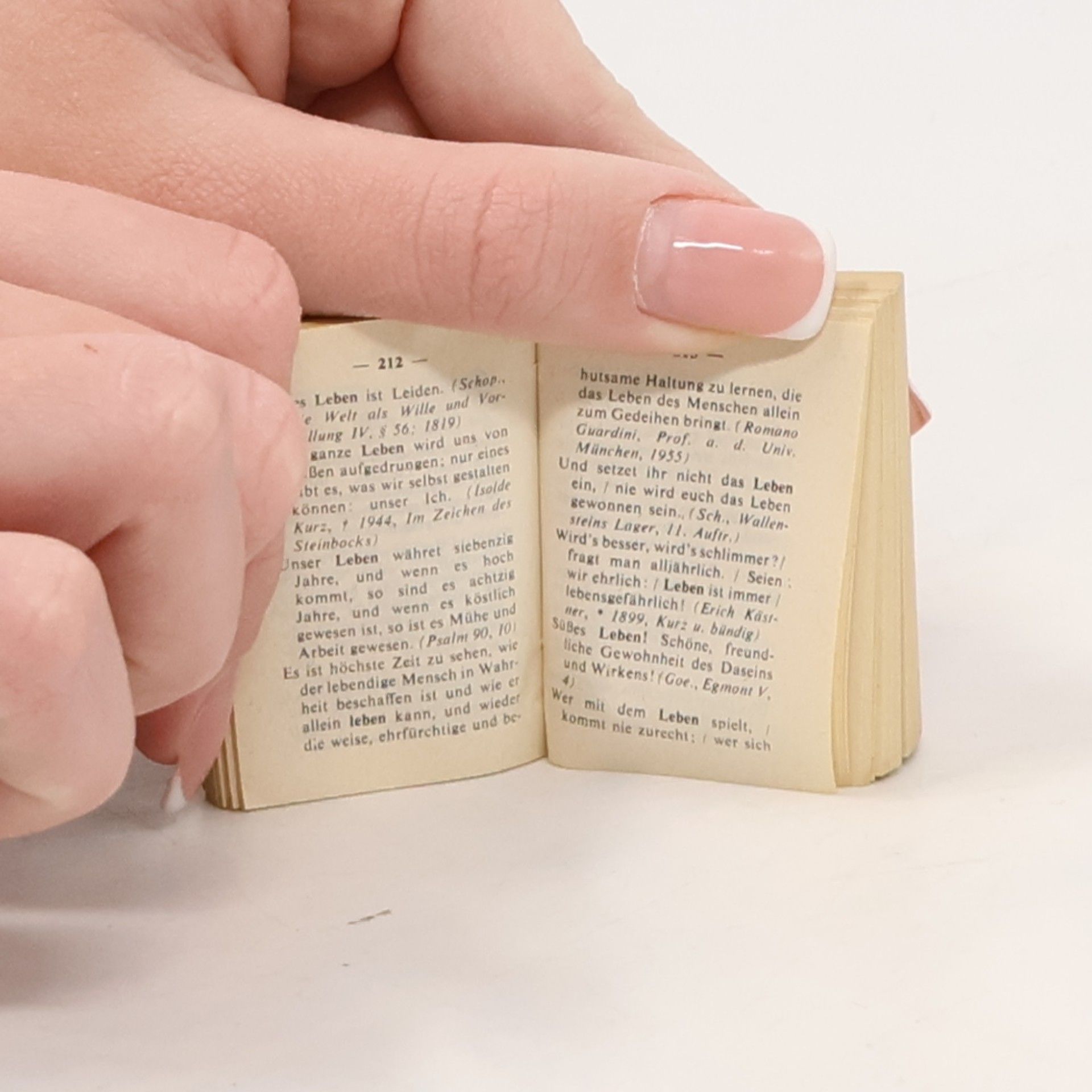 Autorenkollektiv Langenscheidts Lilliput Wörterbuch 100