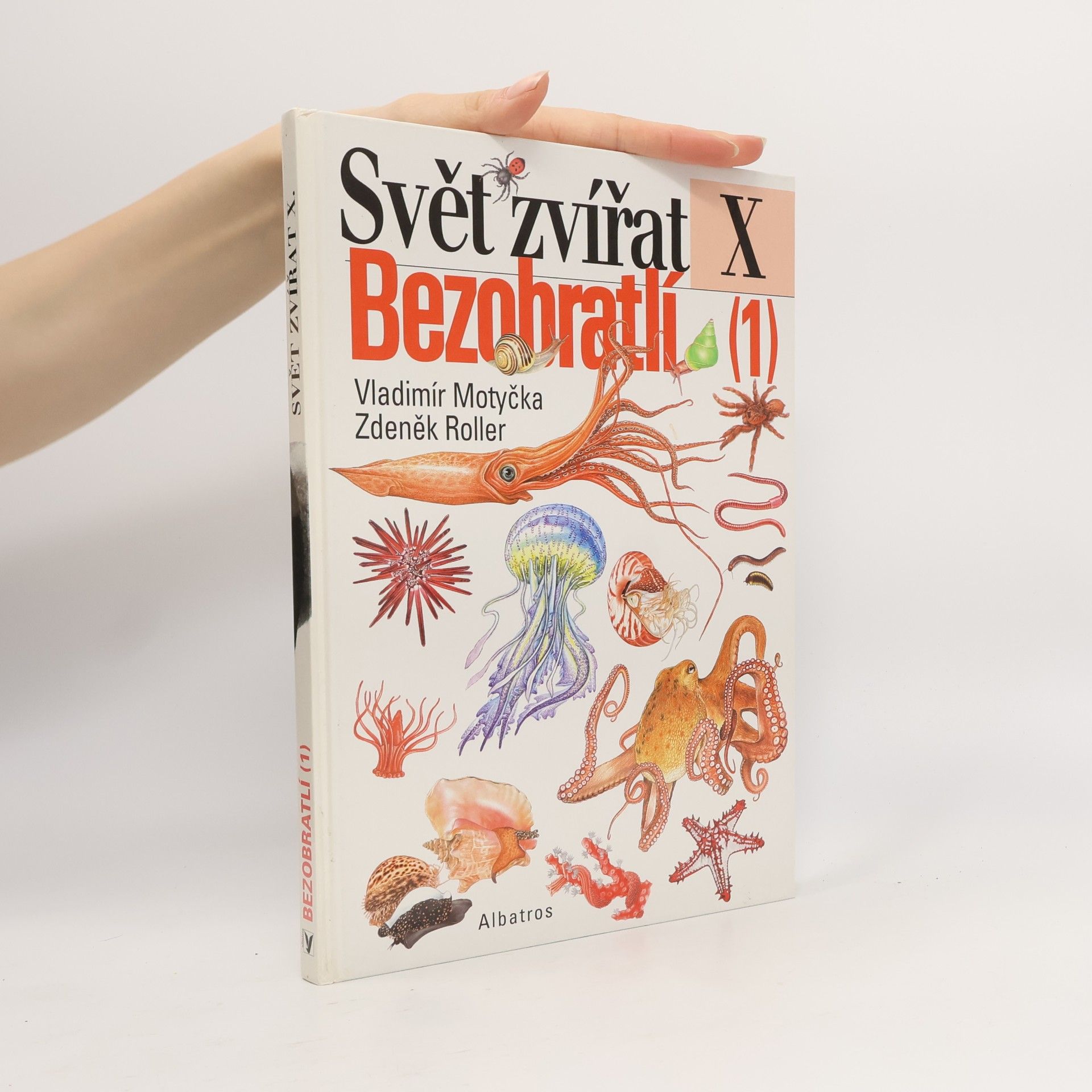 Svět zvířat X. Bezobratlí