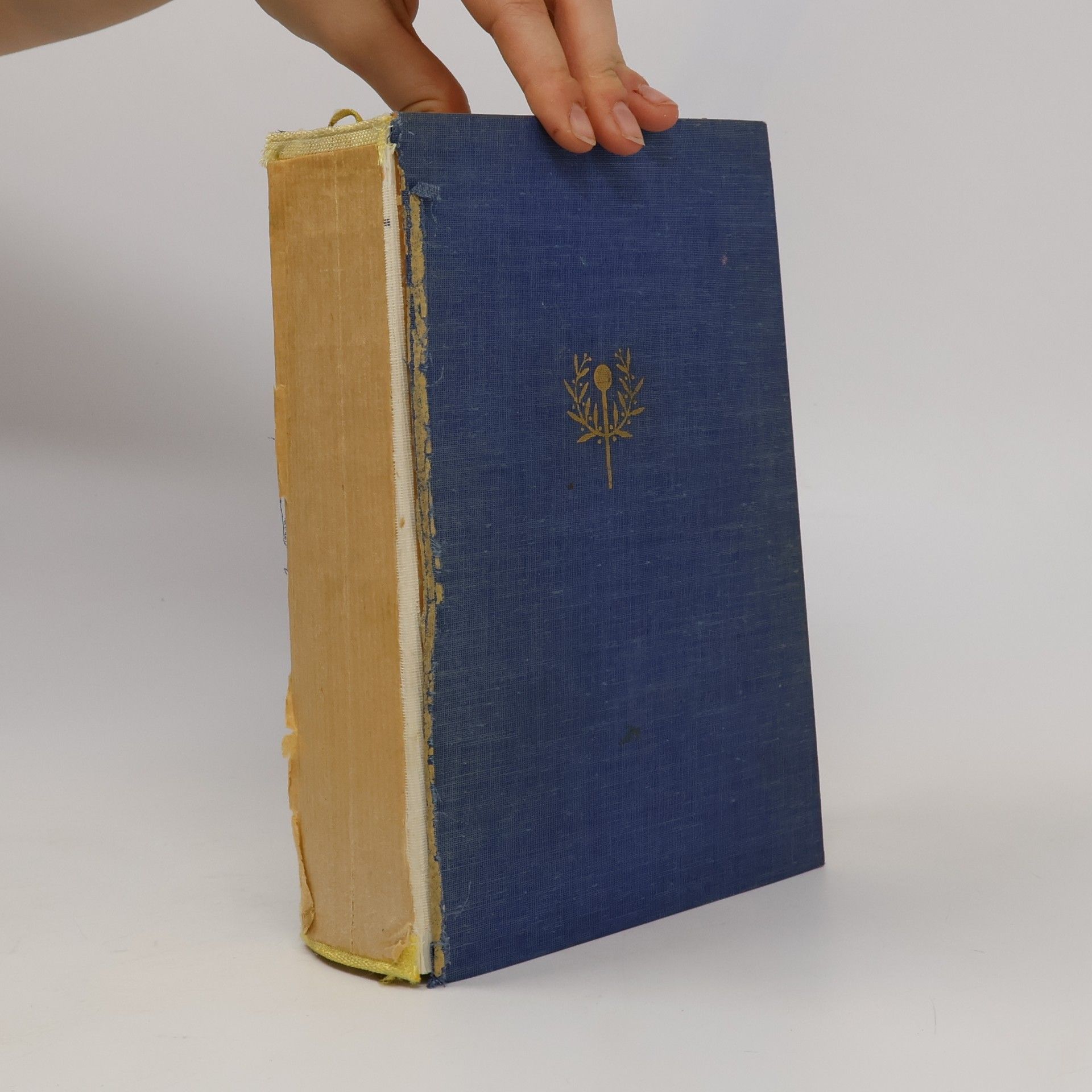 Kochbuch für jeden Haushalt