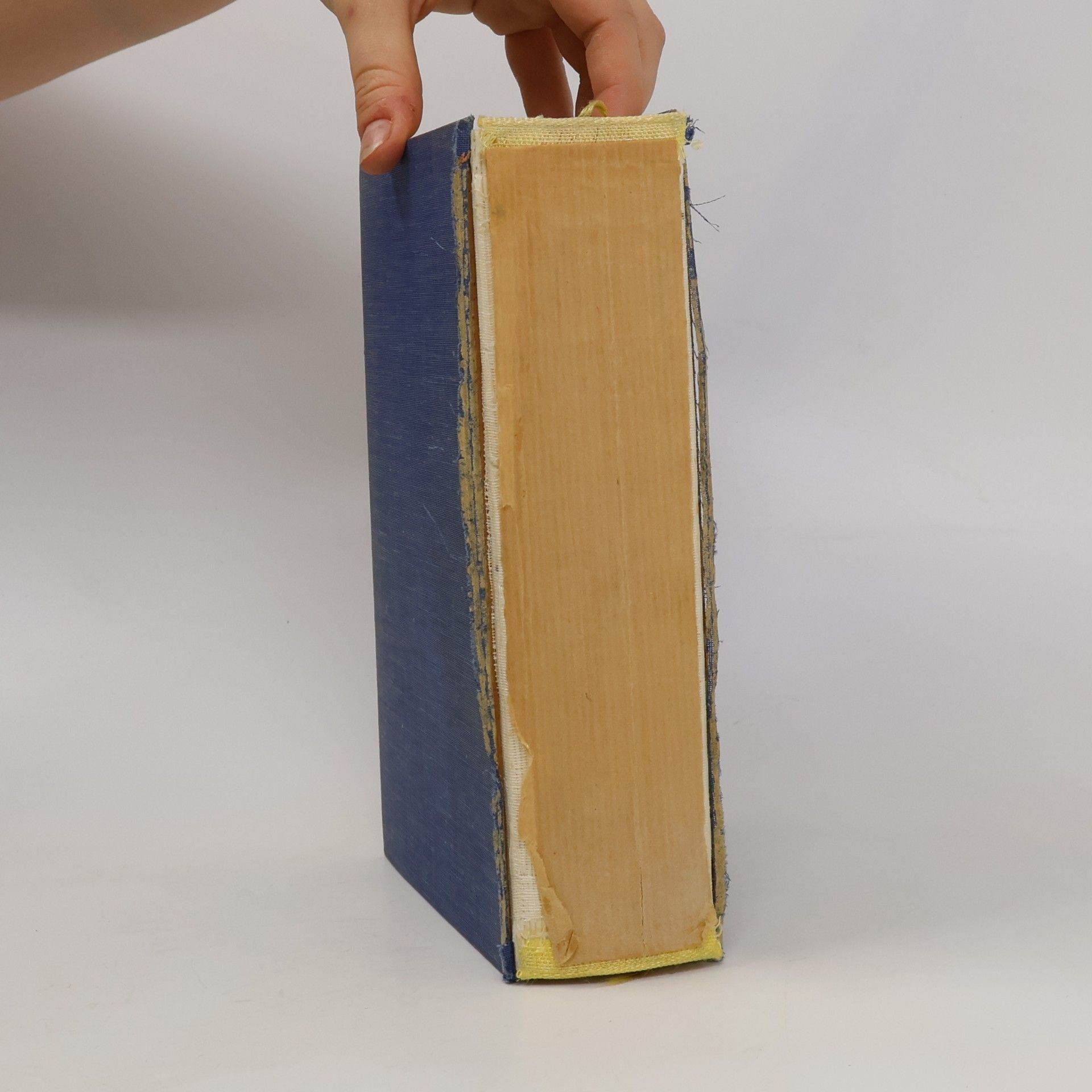 Karlinger Kochbuch für jeden Haushalt