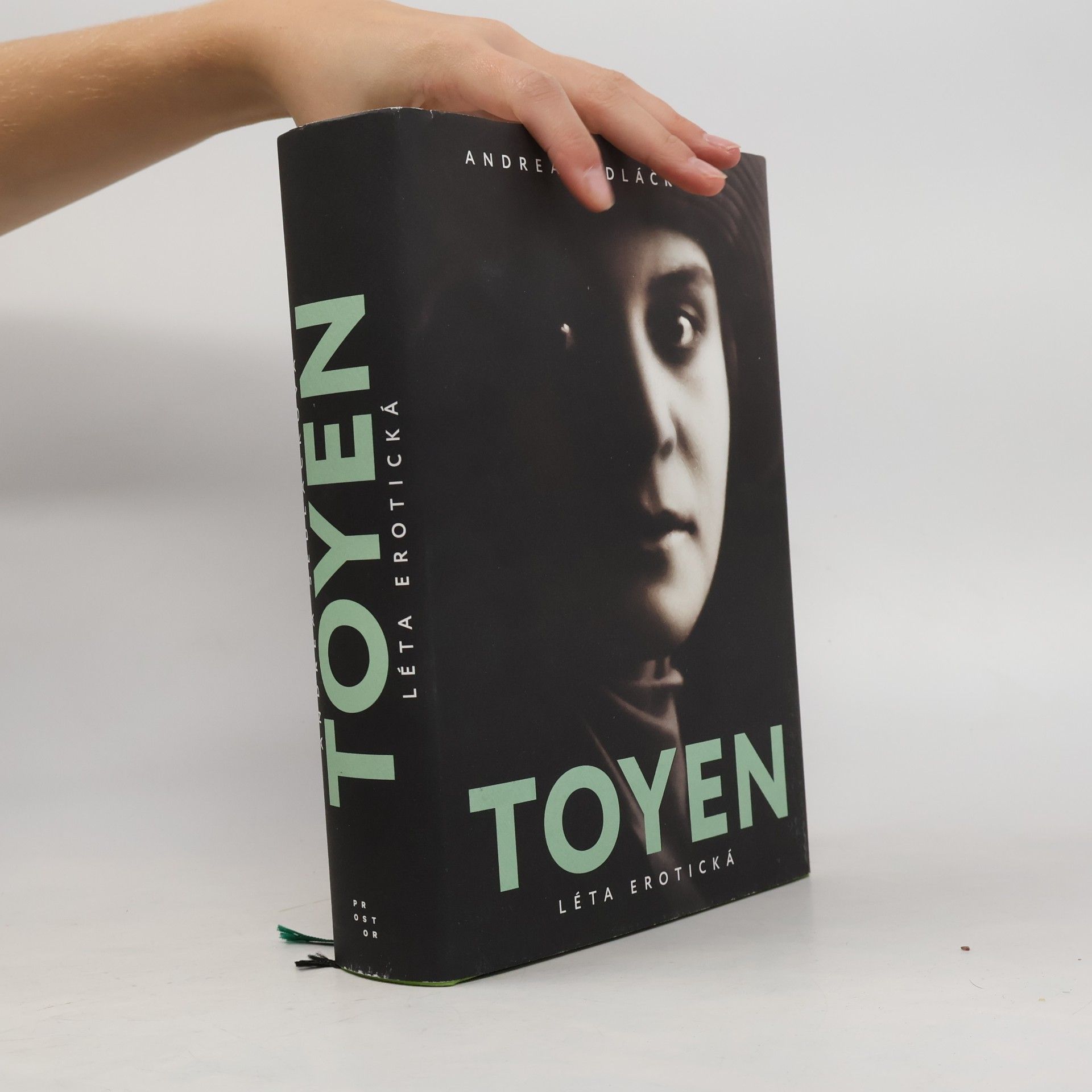 Toyen: Léta erotická