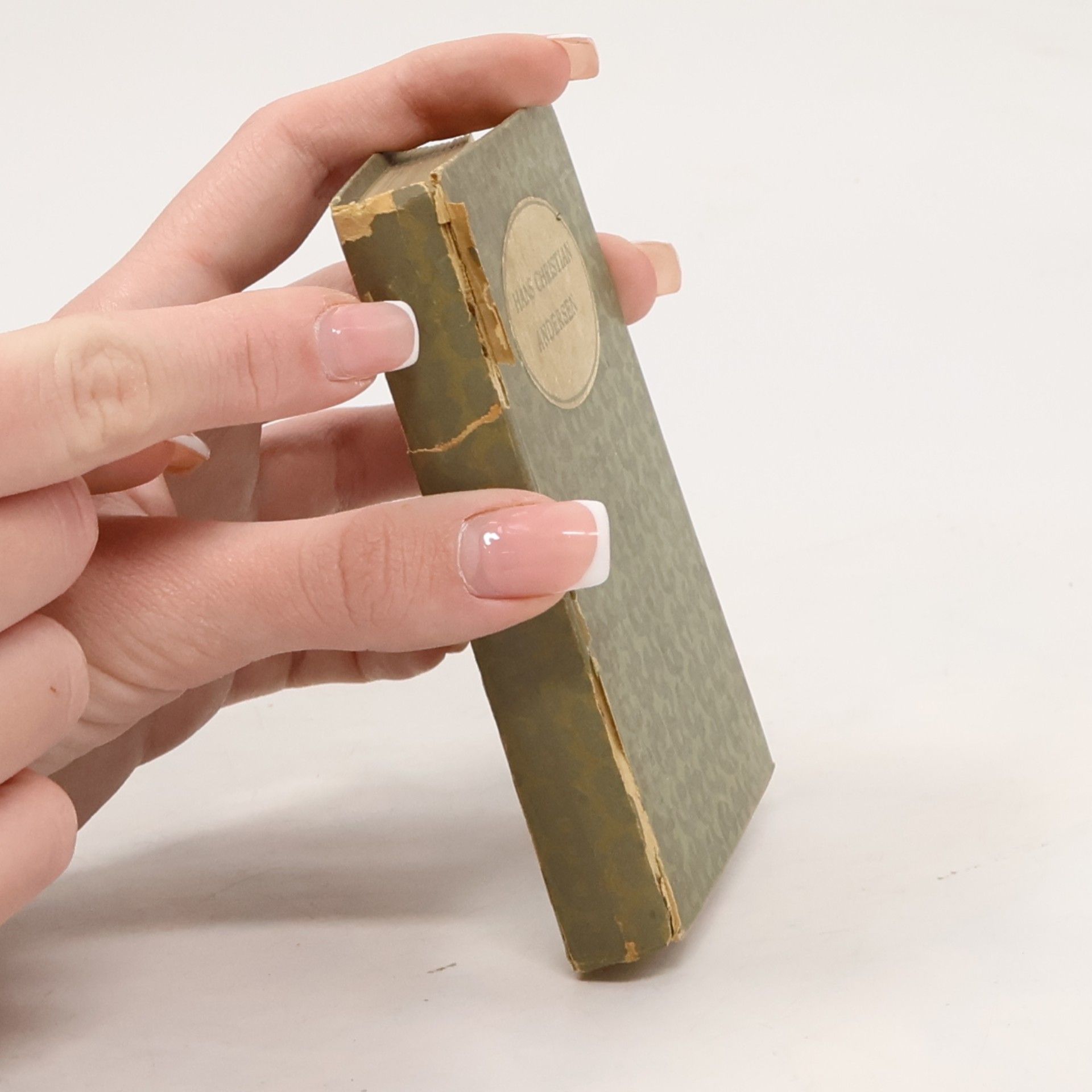 Hans Christian Andersen Märchen meines lebens. Bilderbuch ohne Bilder
