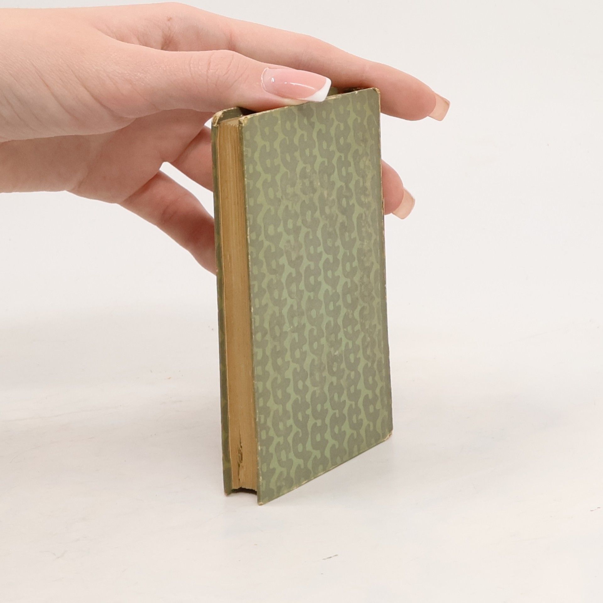 Hans Christian Andersen Märchen meines lebens. Bilderbuch ohne Bilder