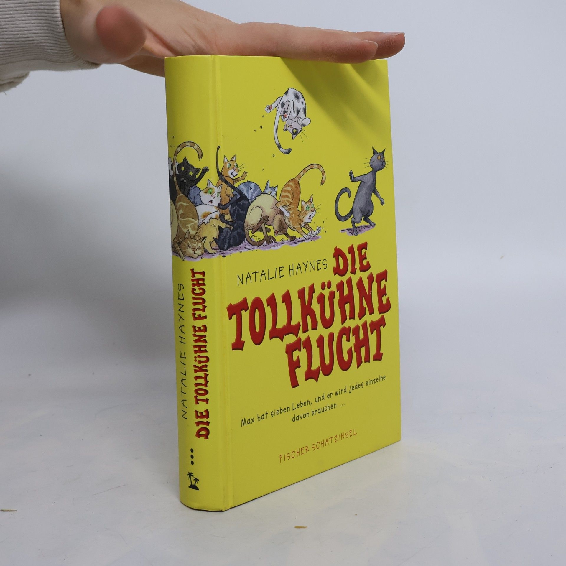 Die tollkühne Flucht