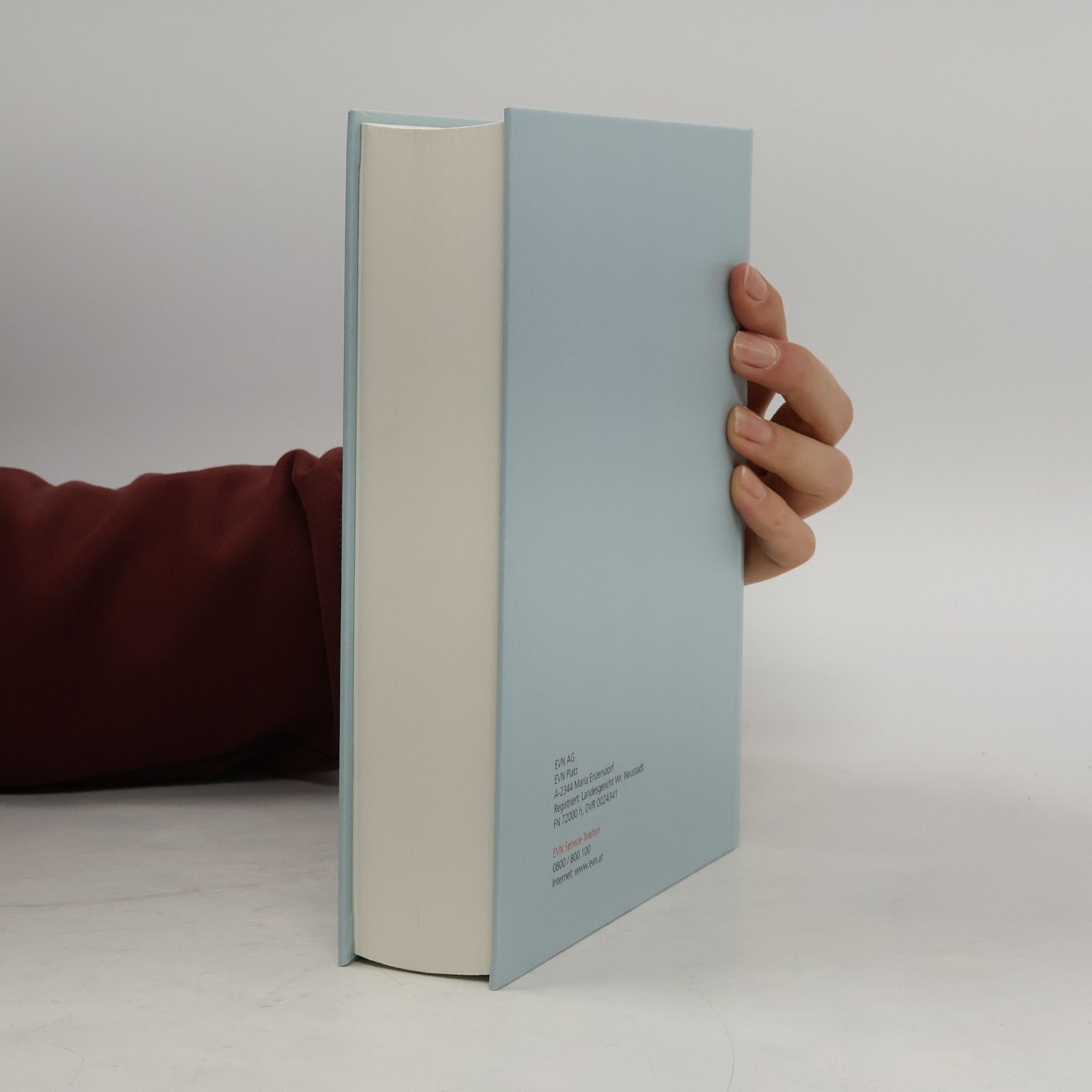 Various authors EVN Kulinarium - Frisch & Flott. Die schnelle Küche