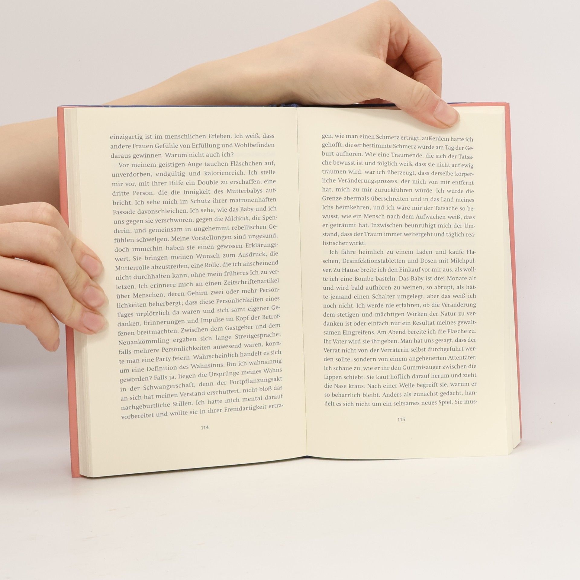 Rachel Cusk Lebenswerk