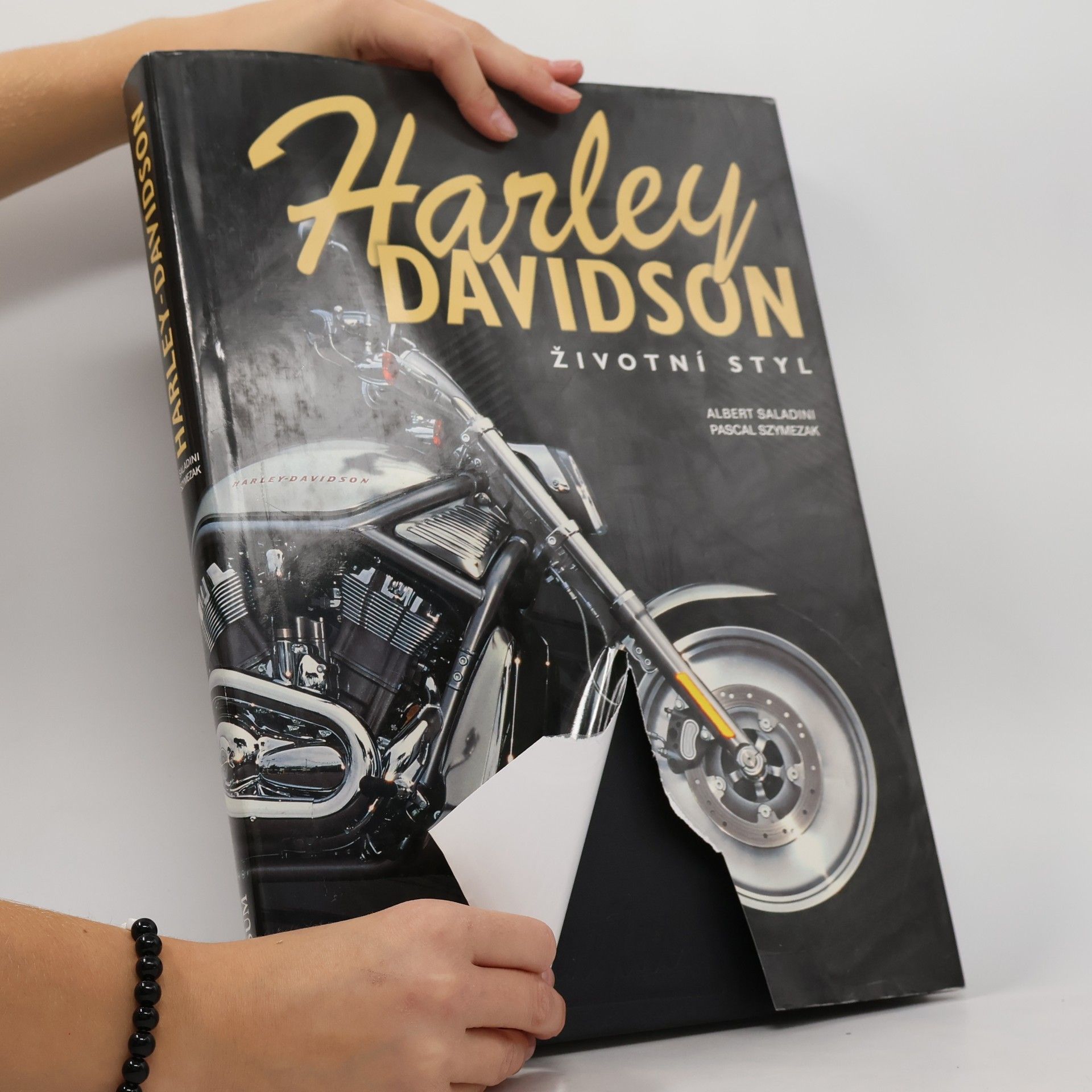 Albert Saladini Harley Davidson. Stoletý mýtus. Životní styl