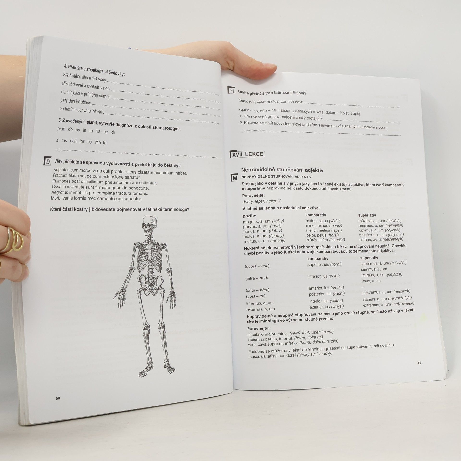 Vlasta Seinerová Latina Úvod do latinské terminologie. Pro střední školy se zdravotnickým zaměřením