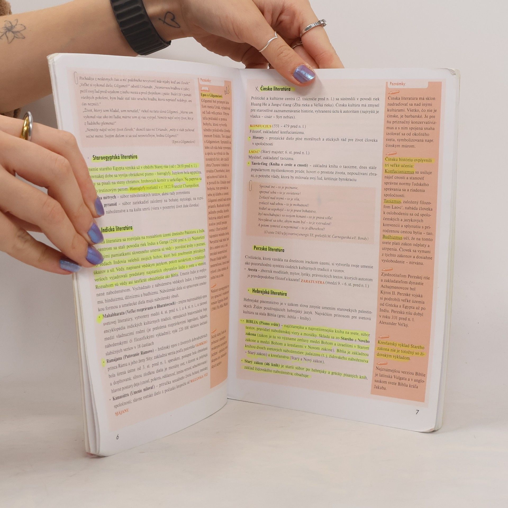 Kolektív autorov Zmaturuj! z literatúry 1