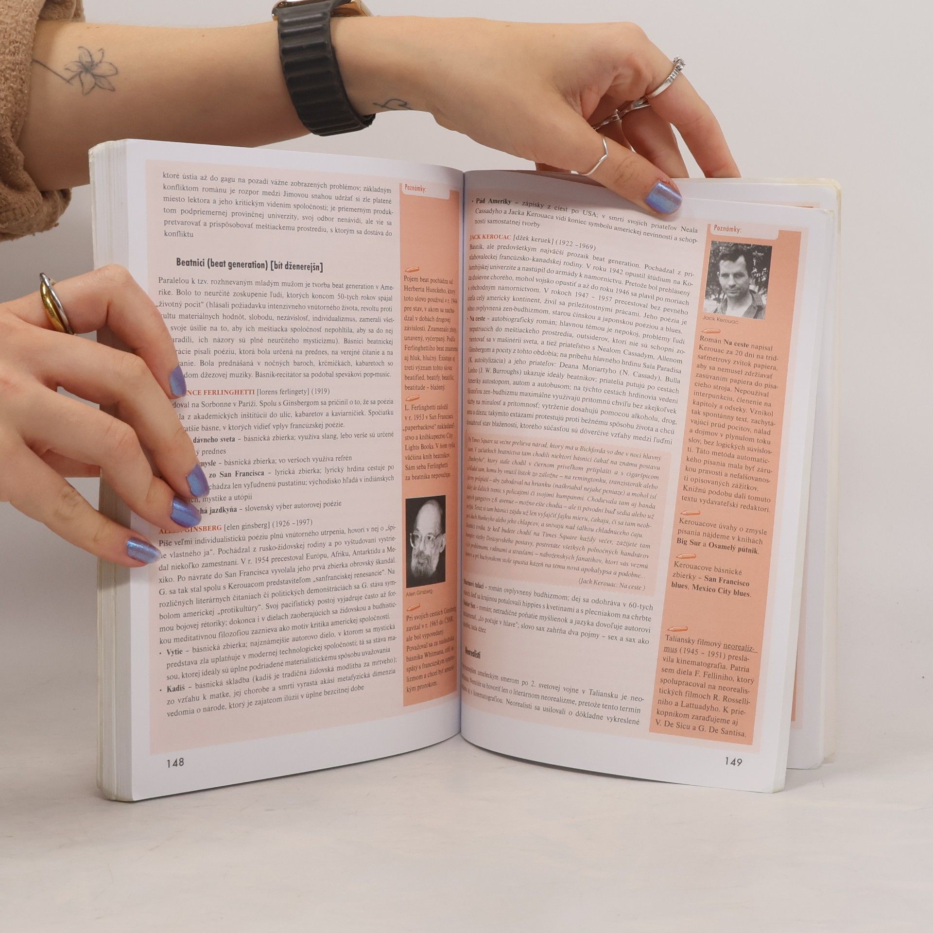 Kolektív autorov Zmaturuj! z literatúry 1