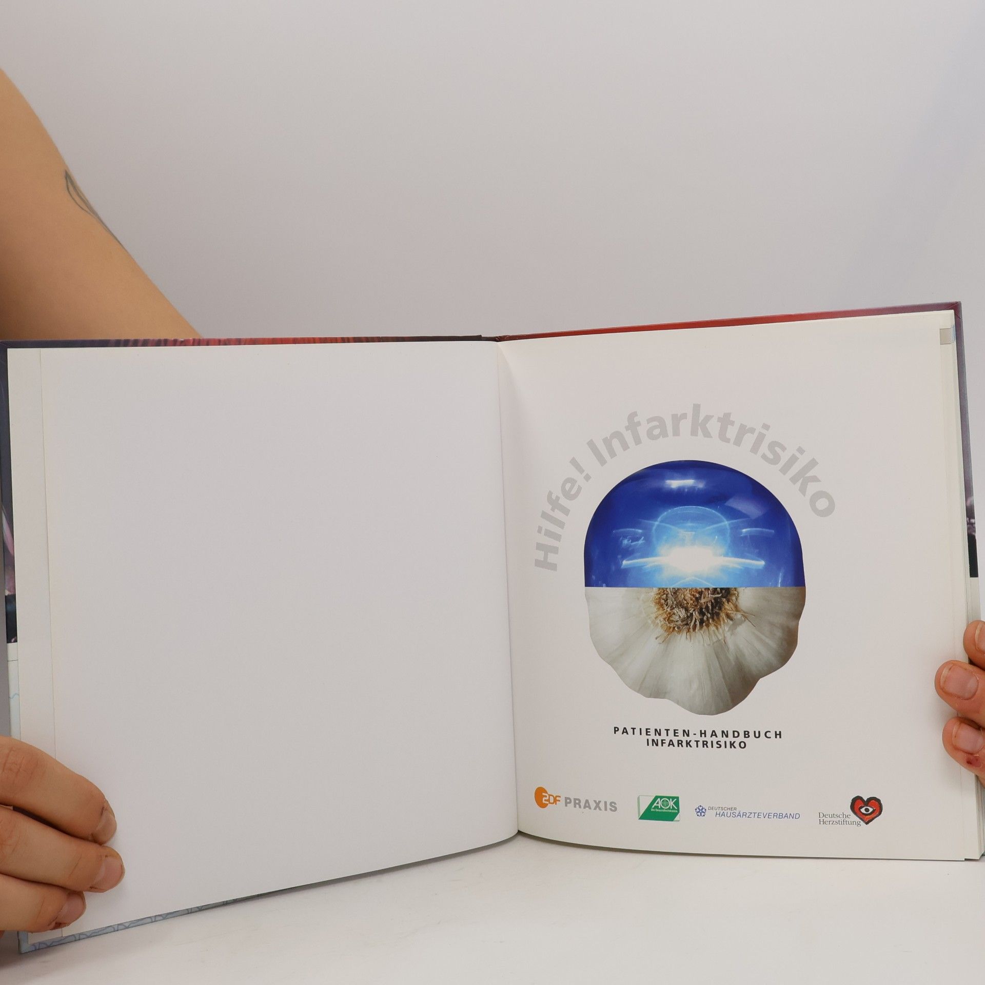 Kolektív autorov Hilfe! Infarktrisiko. Patienten-Handbuch