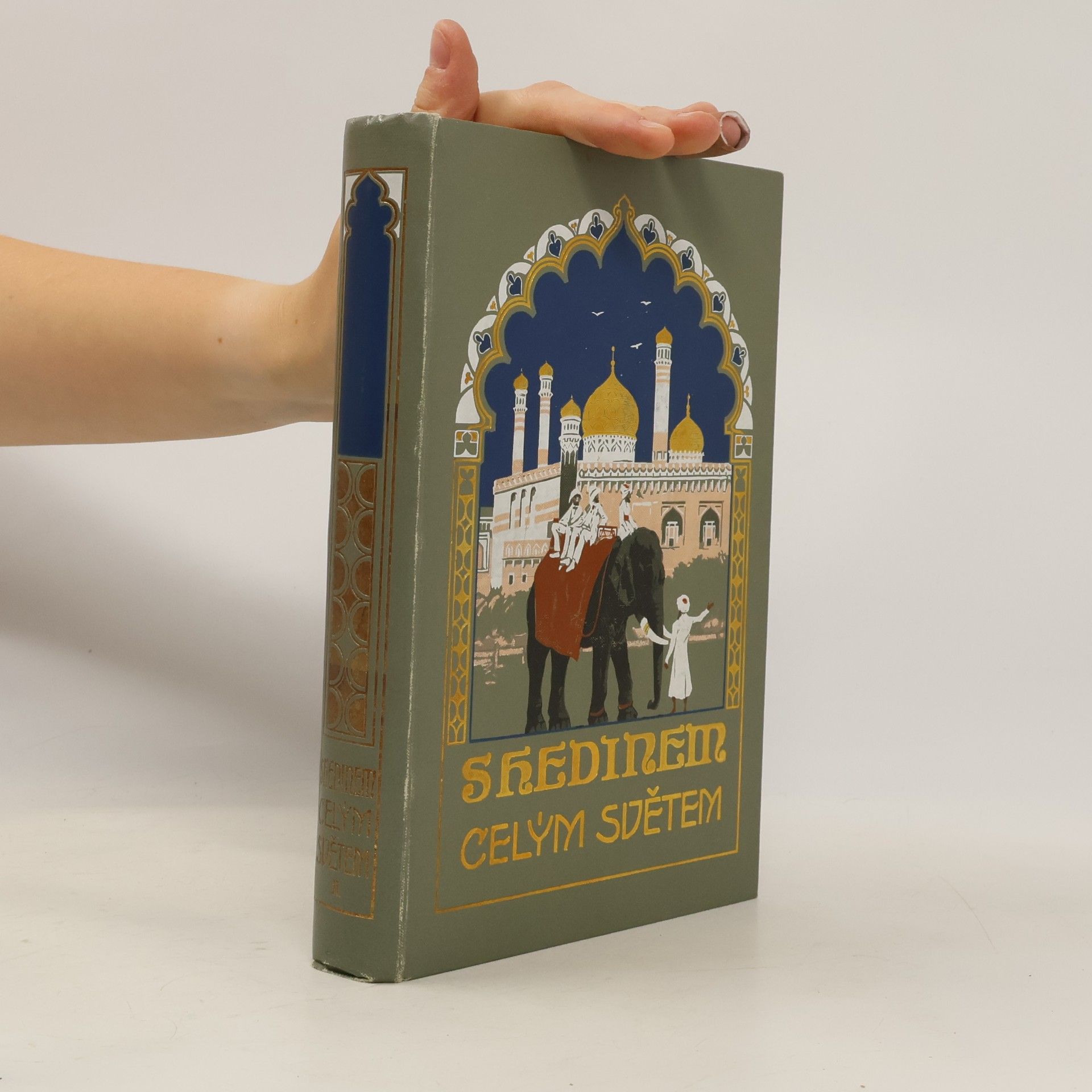 S Hedinem celým světem II