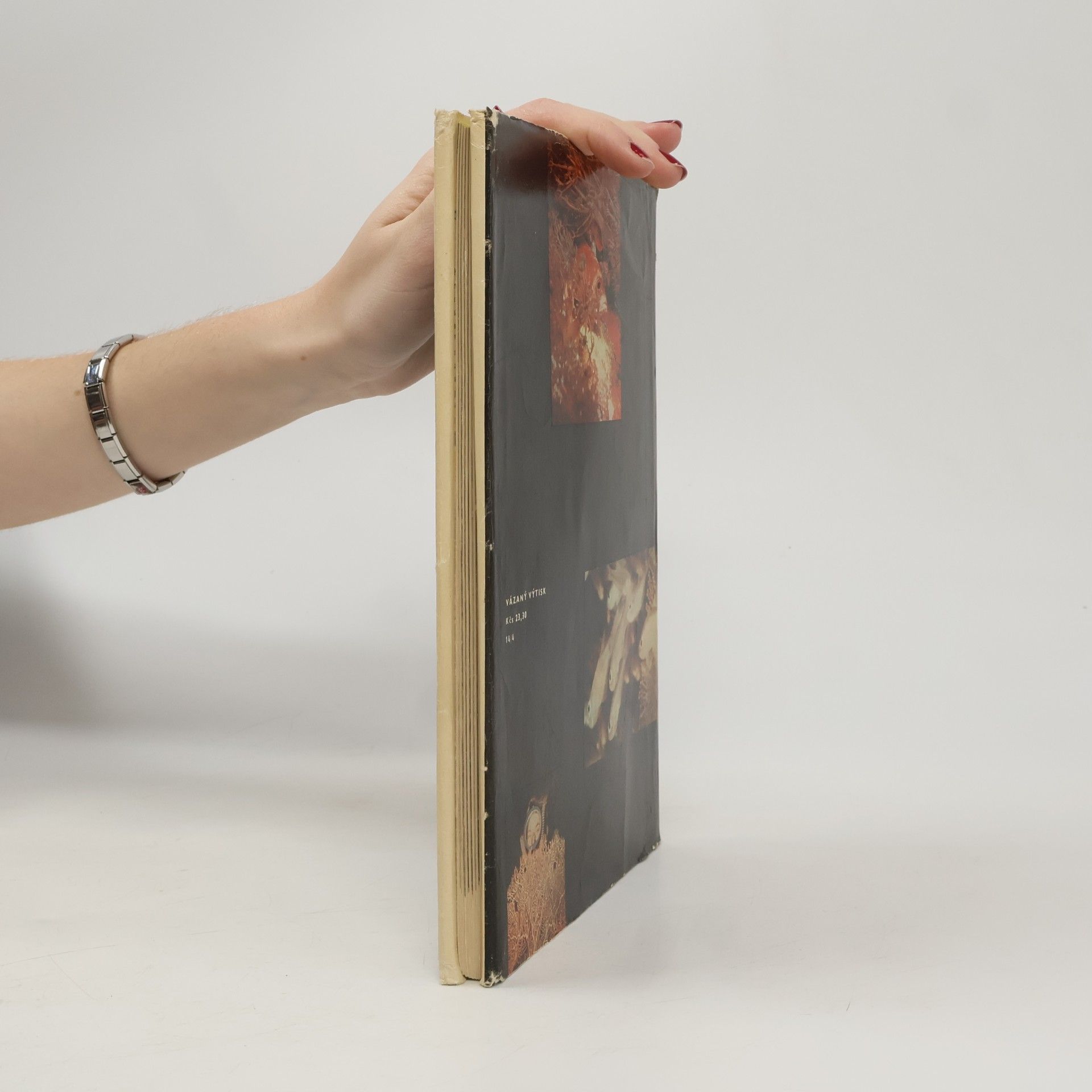Hans Hass Dobytí podmořské říše