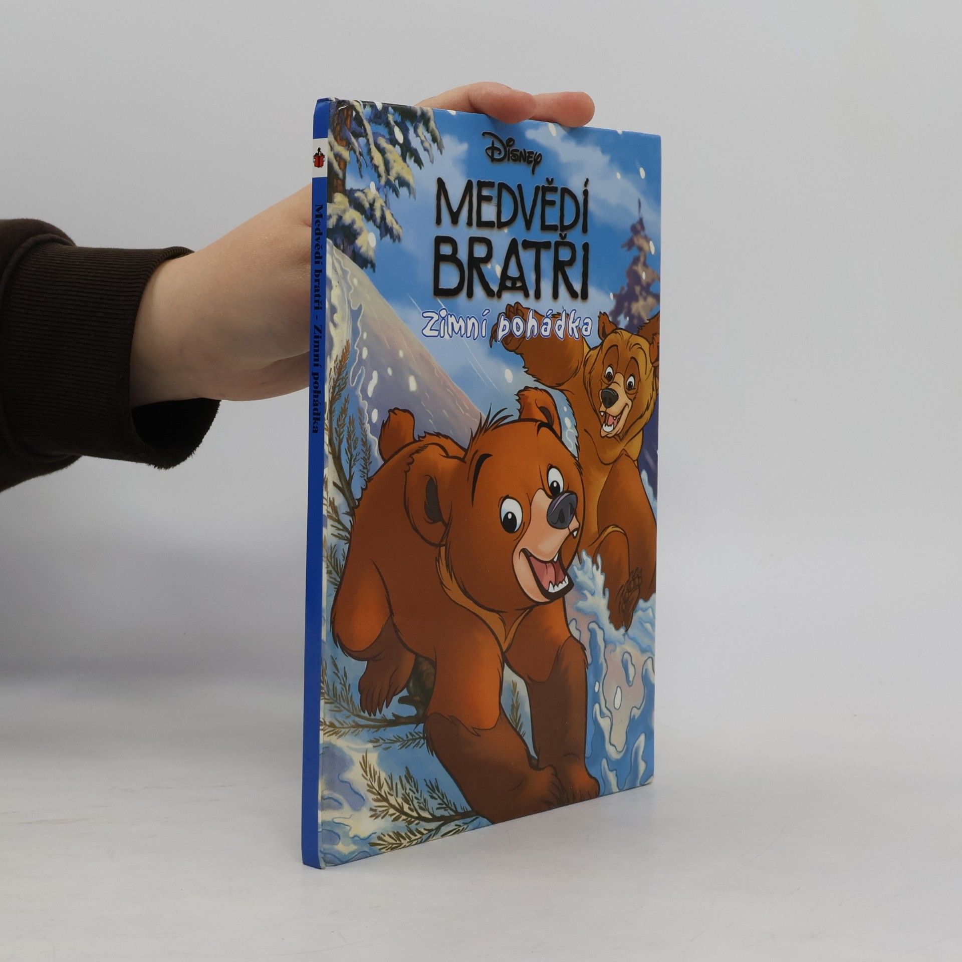Medvědí bratři. Zimní pohádka