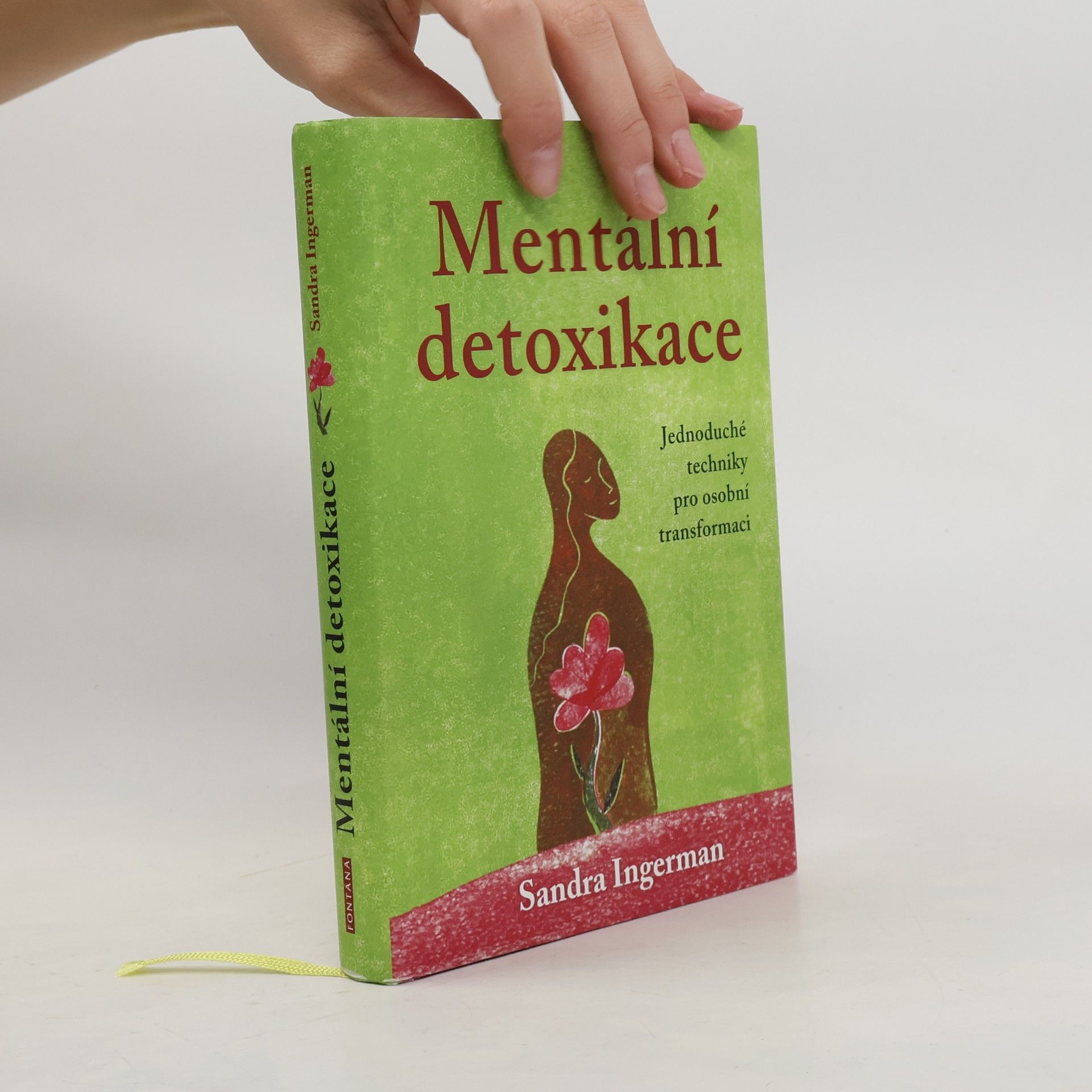 Sandra Ingerman Mentální detoxikace