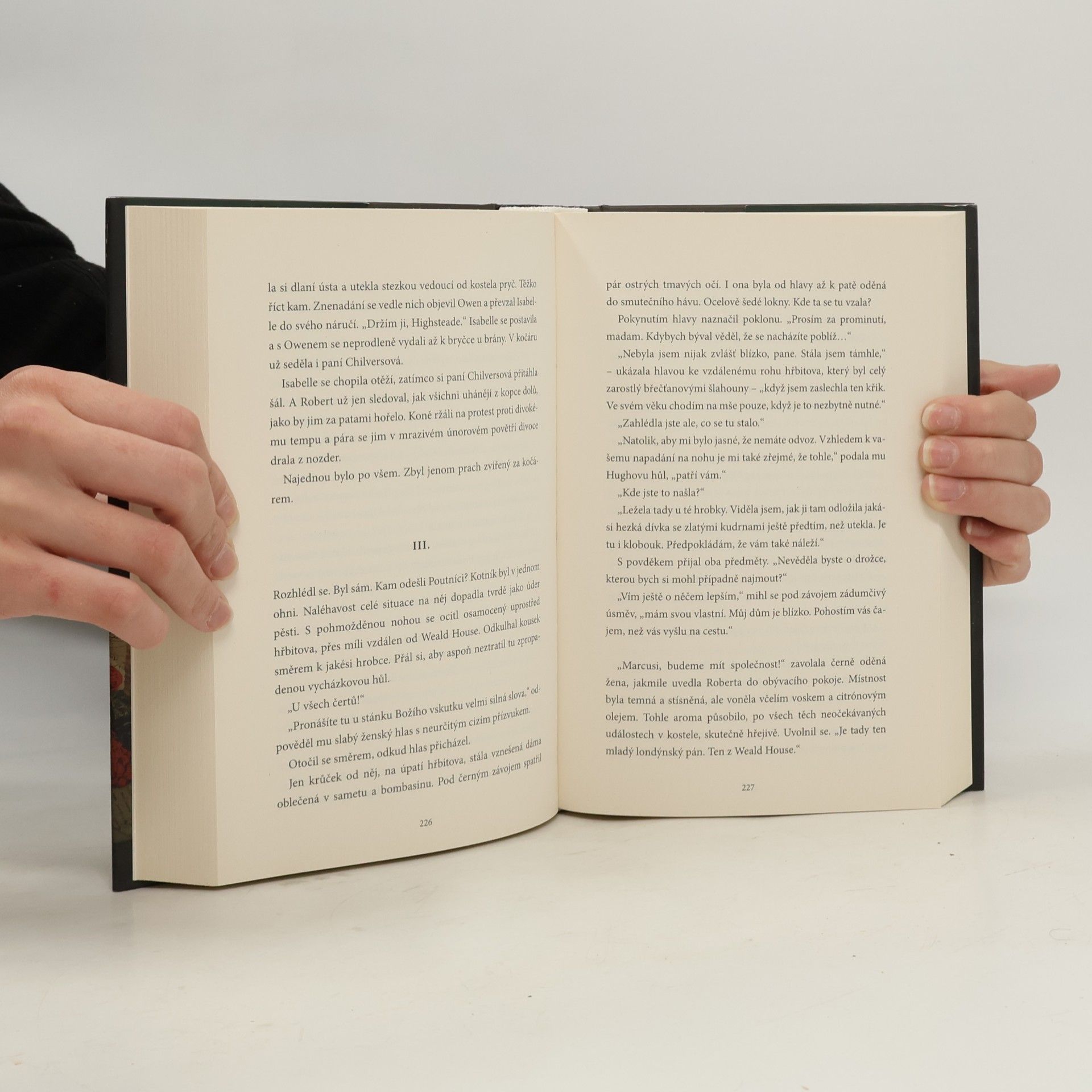 Kris Waldherr Ztracená historie snů