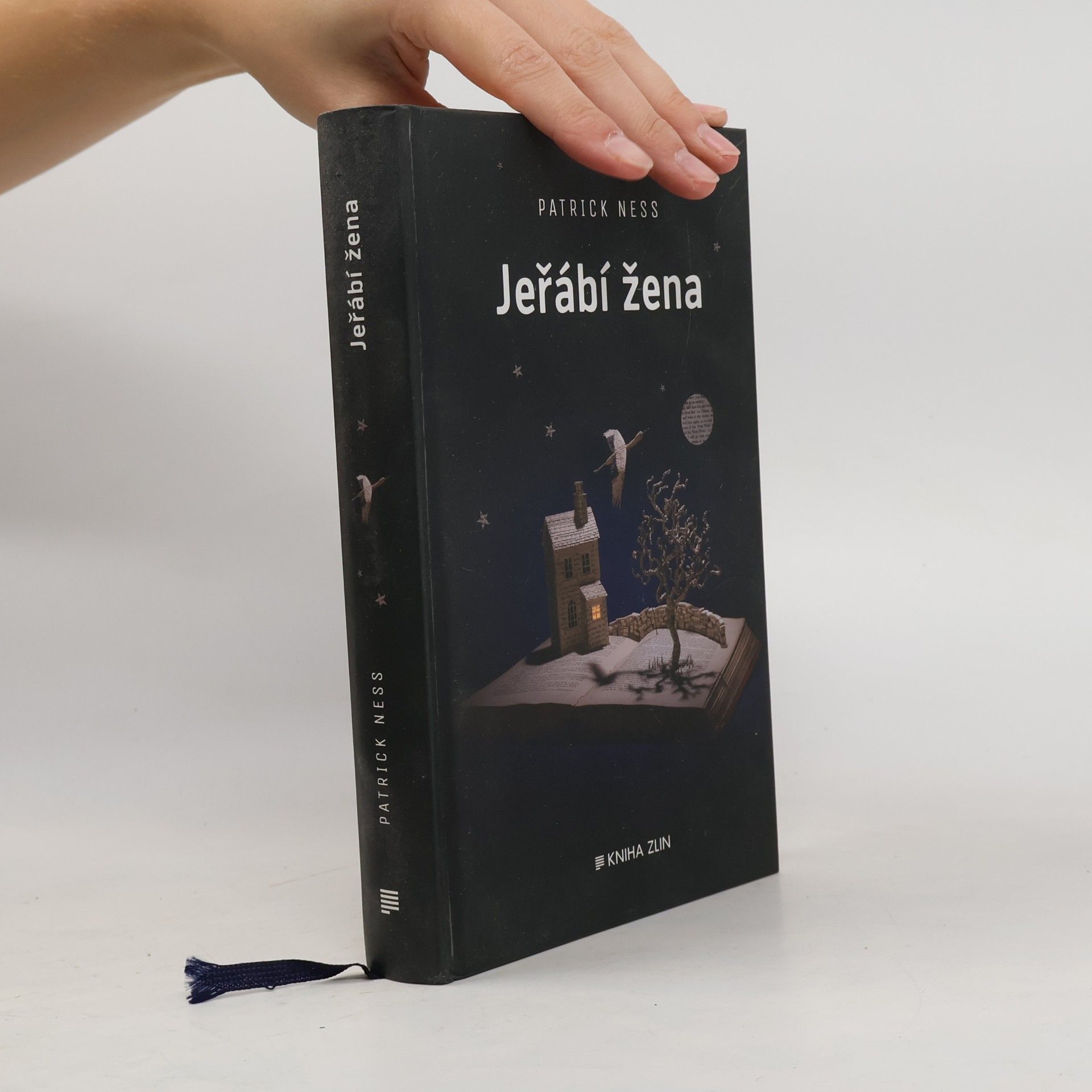 Patrick Ness Jeřábí žena