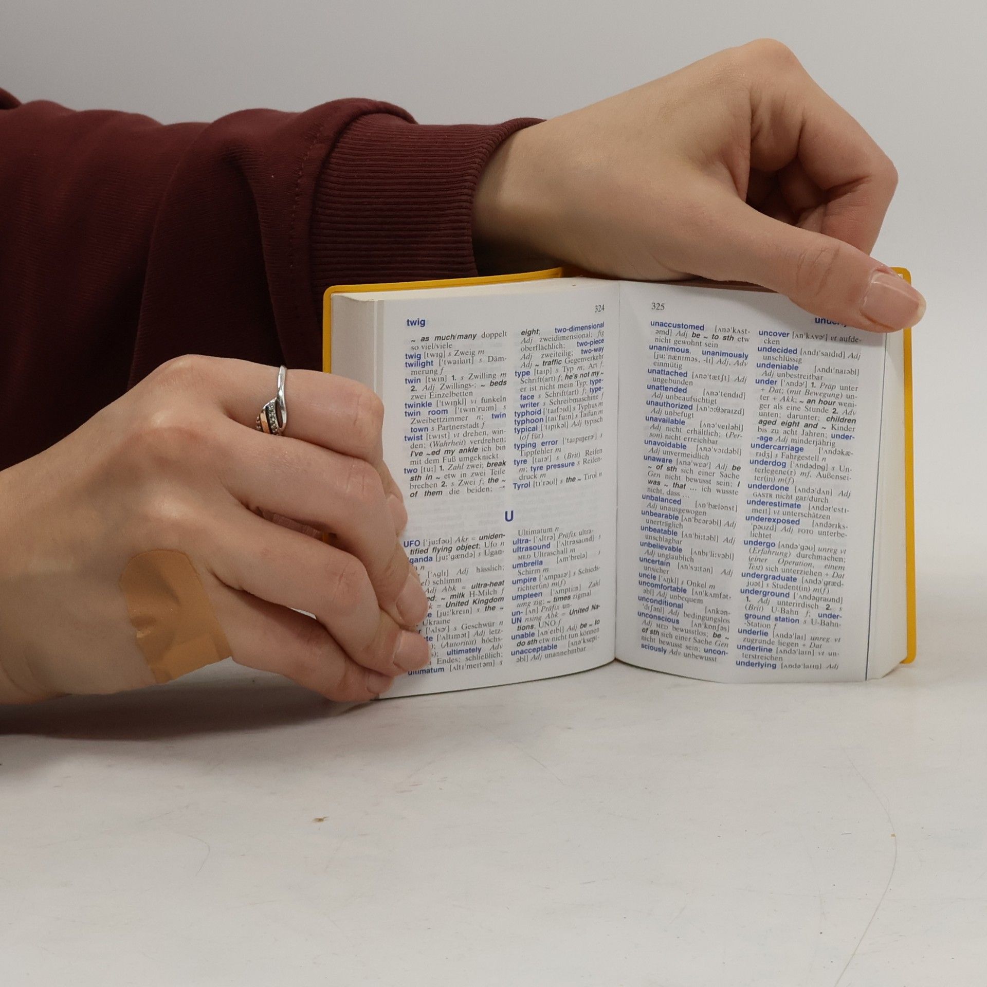 Heike Pleisteiner Langenscheidt, Universal-Wörterbuch Englisch