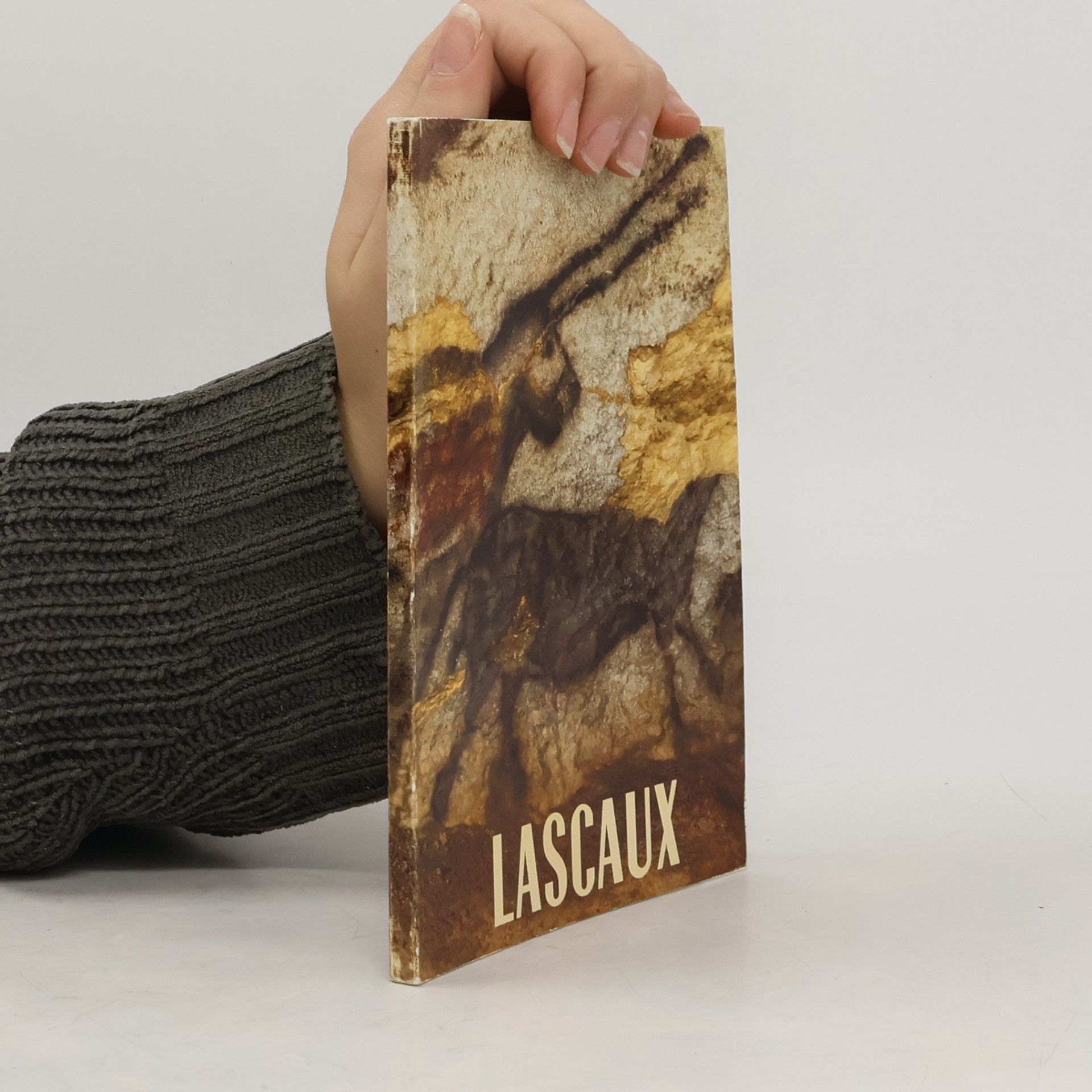 Die Grotte von Lascaux
