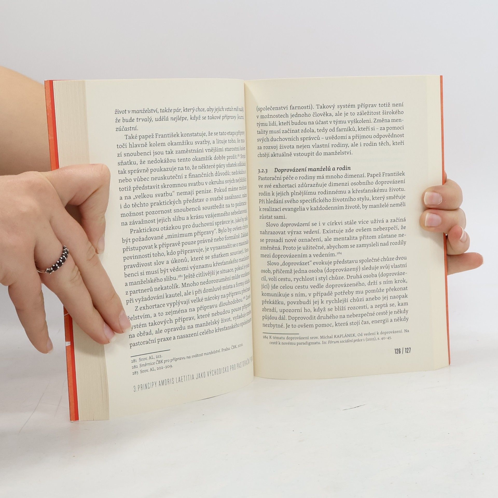 Jindřich Šrajer Amoris laetitia: zlom, nebo kontinuita?